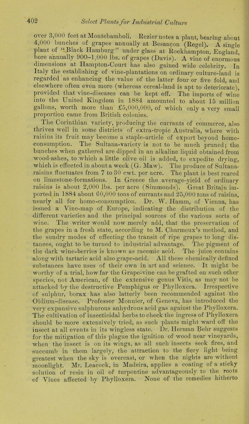 over 3,000 feet at Montebamboli. Rezier notes a plant, bearing about 4,000 bunches of grapes annually at Besanfon (Regel). A single plant of “ Black Hamburg ” under glass at Rockhampton, England, bore annually 900-1,000 lbs. of grapes (Davis). A vine of enormous dimensions at Hampton-Court has also gained wide celebrity. In Italy the establishing of vine-plantations on ordinary culture-land is regarded as enhancing the value of the latter four or five fold, and elsewhere often even more (whereas cereal-land is apt to deteriorate), provided that viue-diseases can be kept off. The imports of wine into the United Kingdom in 1884 amounted to about 15 million gallons,, worth more than £5,000,000, of which only a very small proportion came from British colonies. The Corinthian variety, producing the currants of commerce, also thrives well in some districts of extra-tropic Australia, where with raisins its fruit may become a staple-article of export beyond home- consumption. The Sultana-variety is not to be much pruned; the bunches when gathered are dipped in an alkaline liquid obtained from -wood-ashes, to which a little olive oil is added, to expedite drying, which is effected in about a week (G. Maw). The produce of Sultana- raisins fluctuates from 7 to 30 cwt. per acre. The plant is best reared on limestone-formations. In Greece the average-yield of ordinary raisins is about 2,000 lbs. per acre (Simmonds). Great Britain im- ported in 1884 about 60,000 tons of currants and 25,000 tons of raisins, nearly all for home-consumption. Dr. W. Hamm, of Vienna, has issued a Vine-map of Europe, indicating the distribution of the different varieties and the principal sources of the various sorts of wine. The writer would now merely add, that the preservation of the grapes in a fresh state, according to M. Charmeux’s method, and the sundry modes of effecting the transit of ripe grapes to long dis- tances, ought to be turned to industrial advantage. The pigment of the dark wine-berries is known as racemic acid. The juice contains along with tartaric acid also grape-acid. All these chemically defined substances have uses of their own in art and science. It might be worthy of a trial, how far the Grape-vine can be grafted on such other species, not American, of the extensive genus Vitis, as may not be attacked by tbe destructive Pemphigus or Phylloxera. Irrespective of sulphur, borax has also latterly been recommended against the Oidium-disease. Professor Monnier, of Geneva, has introduced the very expansive sulphurous anhydrous acid gas against the Phylloxera. The cultivation of insecticidal herbs to check the ingress of Phylloxera should be more extensively tried, as such plants might ward off the insect at all events in its wingless state. Dr. Herman Behr suggests for the mitigation of this plague the ignition of wood near vineyards, when the insect is on its wings, as all such insects seek fires, and •succumb in them largely, the attraction to the fiery light being greatest when the sky is overcast, or when the nights are without moonlight. Mr. Leacock, in Madeira, applies a coating of a sticky solution of resin in oil of turpentine advantageously to the roots of Vines affected by Phylloxera. None of the remedies hitherto