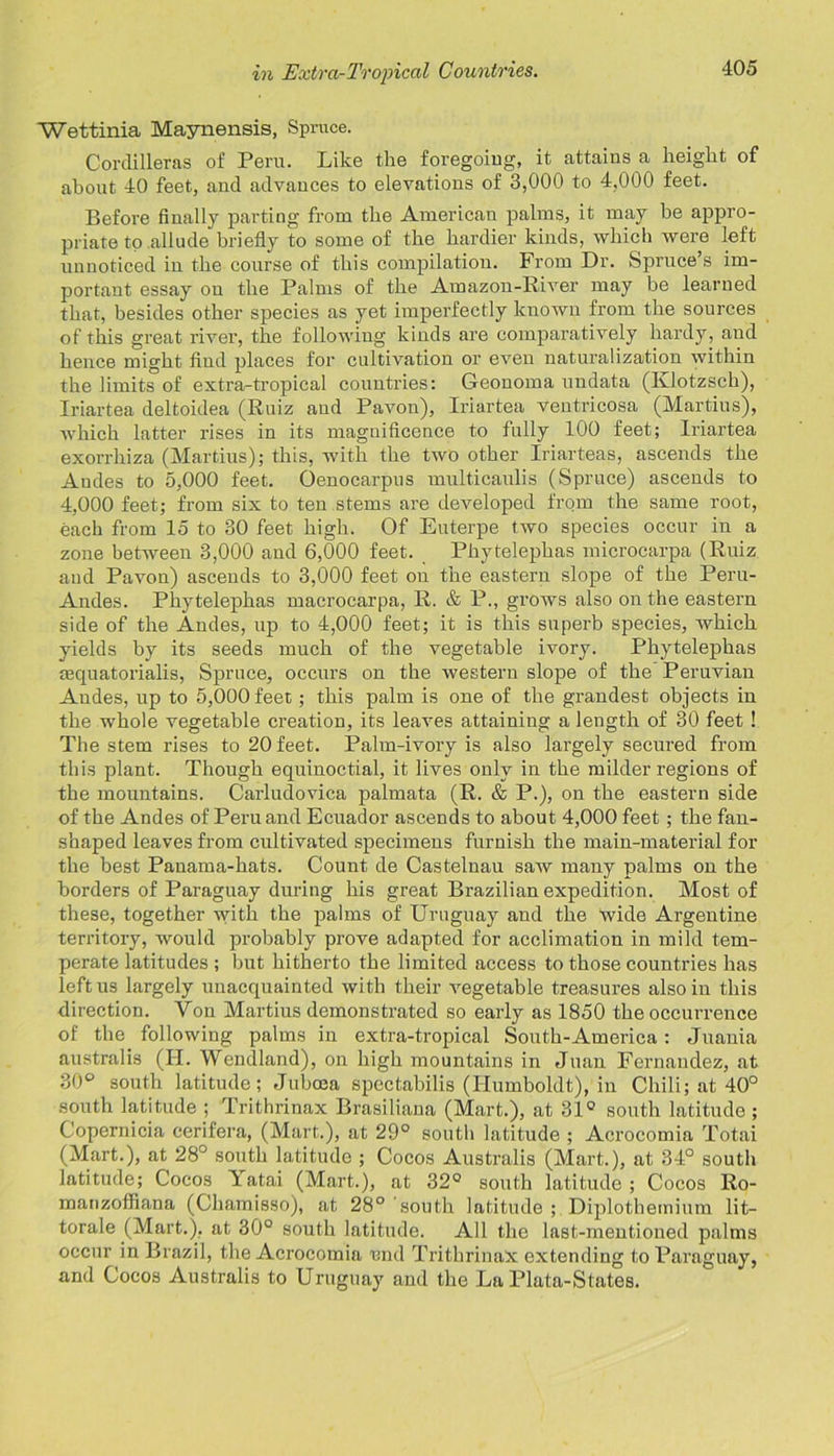 Wettinia Maynensis, Spruce. Cordilleras of Peru. Like the foregoing, it attains a height of about 40 feet, and advances to elevations of 3,000 to 4,000 feet. Before finally parting from the American palms, it may be appro- priate to allude briefly to some of the hardier kinds, which were left unnoticed in the course of this compilation. From Dr. Spruce’s im- portant essay on the Palms of the Amazon-River may be learned that, besides other species as yet imperfectly known from the sources of this great river, the following kinds are comparatively hardy, and hence might find places for cultivation or even naturalization within the limits of extra-tropical countries: Geonoma undata (Ivlotzsch), Iriartea deltoidea (Ruiz and Pavon), Iriartea ventricosa (Martius), which latter rises in its magnificence to fully 100 feet; Iriartea exorrhiza (Martius); this, with the two other Iriartea,s, ascends the Audes to 5,000 feet. Oenocarpus multicaulis (Spruce) ascends to 4,000 feet; from six to ten stems are developed from the same root, each from 15 to 30 feet high. Of Euterpe two species occur in a zone between 3,000 and 6,000 feet. Phytelephas microcarpa (Ruiz and Pavon) ascends to 3,000 feet on the eastern slope of the Peru- Andes. Phytelephas macrocarpa, R. & P., grows also on the eastern side of the Audes, up to 4,000 feet; it is this superb species, Avhich yields by its seeds much of the vegetable ivory. Phytelephas aequatorialis, Spruce, occurs on the western slope of the Peruvian Audes, up to 5,000 feet; this palm is one of the grandest objects in the whole vegetable creation, its leaves attaining a length of 30 feet ! The stem rises to 20 feet. Palm-ivory is also largely secured from this plant. Though equinoctial, it lives only in the milder regions of the mountains. Carludovica palmata (R. & P.), on the eastern side of the Andes of Peru and Ecuador ascends to about 4,000 feet; the fan- shaped leaves from cultivated specimens furnish the main-material for the best Panama-hats. Count de Castelnau saw many palms on the borders of Paraguay during his great Brazilian expedition. Most of these, together with the palms of Uruguay and the wide Argentine territory, would probably prove adapted for acclimation in mild tem- perate latitudes ; but hitherto the limited access to those countries has left us largely unacquainted with their vegetable treasures also in this direction. Yon Martius demonstrated so early as 1850 the occurrence of the following palms in extra-tropical South-America : Juania australis (II. Wendland), on high mountains in Juan Fernandez, at 30° south latitude; Juboea spectabilis (Humboldt), in Chili; at 40° south latitude ; Trithrinax Brasiliana (Mart.), at 31° south latitude ; Copernicia cerifera, (Mart.), at 29° south latitude ; Acrocomia Totai (Mart.), at 28° south latitude ; Cocos Australis (Mart.), at 34° south latitude; Cocos Yatai (Mart.), at 32° south latitude ; Cocos Ro- manzoffiana (Chamisso), at 28° south latitude ; Diplothemium lit- torale (Mart.), at 30° south latitude. All the last-mentioned palms occur in Brazil, the Acrocomia und Trithrinax extending to Paraguay, and Cocos Australis to Uruguay and the La Plata-States.