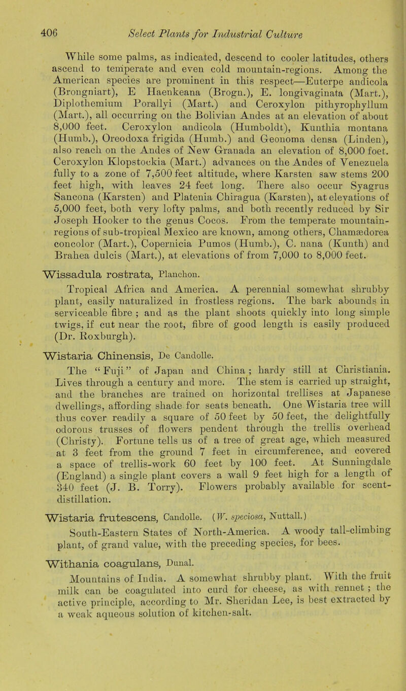 While some palms, as indicated, descend to cooler latitudes, others ascend to temperate and even cold mountain-regions. Among the American species are prominent in this respect—Euterpe andicola (Brongniart), E Haenkeana (Brogn.), E. longivaginata (Mart.), Diplothemium Porallyi (Mart.) and Ceroxylon pithyrophyllum (Mart.), all occurring on the Bolivian Andes at an elevation of about 8.000 feet. Ceroxylon andicola (Humboldt), Kunthia montana (Humb.), Oreodoxa frigida (Humb.) and Geonoma densa (Linden), also reach on the Andes of New Granada an elevation of 8,000 foet. Ceroxylon Klopstoekia (Mart.) advances on the Andes of Venezuela fully to a zone of 7,500 feet altitude, where Karsten saw stems 200 feet high, with leaves 24 feet long. There also occur Syagrus Sancona (Karsten) and Platenia Chiragua (Karsten), at elevations of 5.000 feet, both very lofty palms, and both recently reduced by Sir Joseph Hooker to the genus Cocos. From the temperate mountain- regions of sub-tropical Mexico are known, among others, Chamasdorea coucolor (Mart.), Copernicia Pumos (Humb.), C. nana (Kunth) and Brahea dulcis (Mart.), at elevations of from 7,000 to 8,000 feet. Wissadula rostrata, Planchon. Tropical Africa and America. A perennial somewhat shrubby plant, easily naturalized in frostless regions. The bark abounds in serviceable fibre ; and as the plant shoots quickly into long simple twigs, if cut near the root, fibre of good length is easily produced (Dr. Roxburgh). Wistaria Chinensis, De Candolle. The “Fuji” of Japan and China; hardy still at Christiania. Lives through a century and more. The stem is carried up straight, and the branches are trained on horizontal trellises at Japanese dwellings, affording shade for seats beneath. One Wistaria tree will thus cover readily a square of 50 feet by 50 feet, the delightfully odorous trusses of flowers pendent through the trellis overhead (Christy). Fortune tells us of a tree of great age, which measured at 3 feet from the ground 7 feet in circumference, and covered a space of trellis-work 60 feet by 100 feet. At Sunningdale (England) a single plant covers a wall 9 feet high for a length of 340 feet (J. B. Torry). Flowers probably available for scent- distillation. Wistaria frutescens, Candolle. (W. speciosa, Nuttall.) South-Eastern States of North-America. A woody tall-climbing plaut, of grand value, with the preceding species, for bees. Withania coagulans, Dunal. Mountains of India. A somewhat shrubby plant. With the fruit milk can be coagulated into curd for cheese, as with rennet ; the active principle, according to Mr. Sheridan Lee, is best extracted by a weak aqueous solution of kitchen-salt.