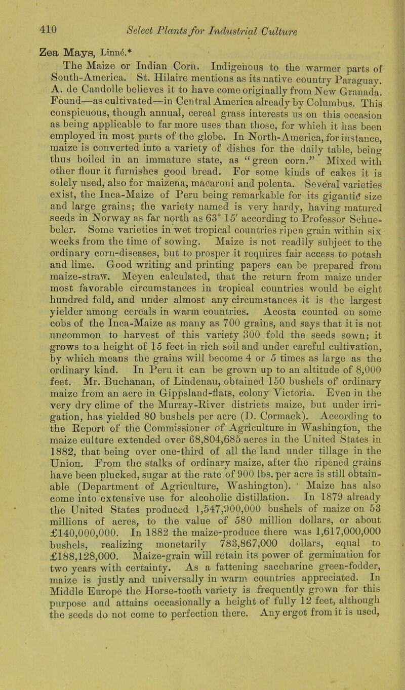 Zea Mays, Linnd.* The Maize or Indian Corn. Indigenous to the warmer parts of South-America. St. Hilaire mentions as its native country Paraguay. A. de Candolle believes it to have come originally from New Granada. Found—as cultivated—in Central America already by Columbus. This conspicuous, though annual, cereal grass interests us on this occasion as being applicable to far more uses than those, for which it has been employed in most parts of the globe. In North-America, for instance, maize is converted into a variety of dishes for the daily table, being thus boiled in an immature state, as “green corn.” Mixed with other flour it furnishes good bread. For some kinds of cakes it is solely used, also for maizena, macaroni and polenta. Several varieties exist, the Inca-Maize of Peru being remarkable for its gigantid size and large grains; the variety named is very hardy, having matured seeds in Norway as far north as 63° 15' according to Professor Scliue- beler. Some varieties in wet tropical countries ripen grain within six wreeks from the time of sowing. Maize is not readily subject to the ordinary corn-diseases, but to prosper it requires fair access to potash and lime. Good writing and printing papers can be prepared from maize-straw. Meyen calculated, that the return from maize under most favorable circumstances in tropical countries would be eight hundred fold, and under almost any circumstances it is the largest yielder among cereals in warm countries. Acosta counted on some cobs of the Inca-Maize as many as 700 grains, and says that it is not uncommon to harvest of this variety 300 fold the seeds sown; it grows to a height of 15 feet in rich soil and under careful cultivation, by which means the grains will become 4 or 5 times as large as the ordinary kind. In Peru it can be grown up to an altitude of 8,000 feet. Mr. Buchanan, of Lindenau, obtained 150 bushels of ordinary maize from an acre in Gippsland-flats, colony Victoria. Even in the very dry clime of the Murray-River districts maize, but under irri- gation, has yielded 80 bushels per acre (D. Cormack). According to the Report of the Commissioner of Agriculture in Washington, the maize culture extended over 68,804,685 acres in the United States in 1882, that being over one-third of all the land under tillage in the Union. From the stalks of ordinary maize, after the ripened grains have been plucked, sugar at the rate of 900 lbs. per acre is still obtain- able (Department of Agriculture, Washington). - Maize has also come into extensive use for alcoholic distillation. In 1879 already the United States produced 1,547,900,000 bushels of maize on 53 millions of acres, to the value of 580 million dollars, or about £140,000,000. In 1882 the maize-produce there was 1,617,000,000 bushels, realizing monetarily 783,867,000 dollars, equal to £188,128,000. Maize-grain will retain its power of germination for two years with certainty. As a fattening saccharine green-fodder, maize is justly and universally in warm countries appreciated. In Middle Europe the Horse-tooth variety is frequently grown for this purpose and attains occasionally a height of fully 12 feet, although the seeds do not come to perfection there. Any ergot from it is used,