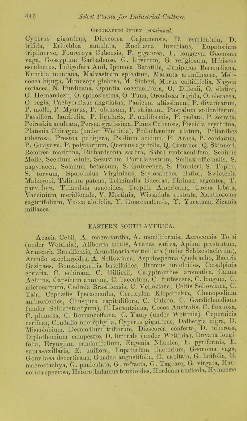 Geographic Index—continued. Cyperus gigantens, Dioscorea Cajennensis, D. esurientum, D. trifida, Eriochloa annulata, Euchlmna luxurians, Eupatorium triplinerve, Fourcroya Cubensis, F. gigantea, F. longmva, Geonoma vaga, Gossypium Barbadense, G. hirsutum, G. religiosum, Hibiscus esculentus, Indigofera Anil, Ipomoea Batatilla, Juniperus Bermudiana, Kunthia montana, Malvastrum spicatum, Maranta arundinacea, Meli- cocca bijuga, Mimusops globosa, M. Sieberi, Moms celtidifolia, Nageia coriacea, N. Purdieana, Opuntia coccinellifera, O. Dillenii, O. elatior, O. Hernandezii, O. spiuosissima, 0. Tuna, Oreodoxa frigida, 0. oleracea, O. regia, Pachyrrhizus angulatus, Panicum altissimum, P. divaricatum, P. molle, P. Myurus, P. obtusum, P. striatum, Paspalum stoloniferum, Passiflora laurifolia, P. ligularis, P. maliformis, P. pedata, P. serrata, Peireskia aculeata, Persea gratissima, Pinus Cubensis, Piscidia erythrina, Platenia Chiragua (under Wettinia), Podachamium alatum, Polianthes tuberosa, Prestoa pubigera, Psidium acidum, P. Araca, P. cordatum, P. Guayava, P. polycarpum, Quercus agrifolia, Q. Castanea, Q. Skinneri, Remirea maritima, Rickardsonia scabra, Sabal umbraculifera, Scliinus Molle, Seckium edule, Sesuvium Portulacastrum, Smilax officinalis, S. papyracea, Solanum betaceum, S. Guineense, S. Plumieri, S. Topiro, S. torvum, Sporobolus Yirginicus, Stylosanthes elatior, Swietenia Mahagoni, Talinum patens, Tehninalia Buceras, Thrinax argentea, T. parviflora, Tillandsia usneoides, Tropliis Americana, Urena lobata, Vaccinium meridionale, V. Mortinia, Wissadula rostrata, Xanthosoma sagittifolium, Yucca aloifolia, Y. Gnatemalensis, Y. Yucatana, Zizania miliacea. EASTERN SOUTH-AMERICA. Acacia Cebil, A. macracantha, A. moniliformis, Acrocomia Total (under Wettinia), Alibertia edulis, Ananas sativa, Apium prostratum. Araucaria Brasiliensis, Arundinaria verticillata (under Scbizostachynm), Aruudo saccbaroides, A. Sellowiana, Aspidosperma Quebracho, Bactris Gasipaes, Boussingaultia baselloides, Bromus unioloides, Cmsalpinia coriaria, C. echinata, C. Gilliesii, Calyptrantbes aromatica, Canna Acliiras, Capsicum annuum, C. baccatum, C. frutescens, C. longum, Cb microcarpum, Cedrela Brasiliensis, C. Velloziana, Celtis Sellowiana, C. Tala, Ceplnelis Ipecacuanha, Ceroxylon Ivlopstockia, Chenopodium ambrosioides, Chusquea capituliflora, C. Culeon, C. Gaudichaudiana (under Scbizostachynm), C. Lorentziaua, Cocos Australis, C. flexuosa, C. plumosa, C. Romanzoffiaua, C. Yatay (under Wettinia), Copernicia cerifera, Condalia micropbylla, Cyperus giganteus, Dalbergia nigra, D. Miscolobium, Uesmodium triflorum, Dioscorea conferta, D. tuberosa,. Diplothemium campestre, D. littorale (under Wettinia), Duvaua longi- folia, Eryngium pandanifolium, Eugenia Nhanica, E. pyriformis, E. supra-axillaris, E. uniflora, Eupatorium tinctorium, Geonoma vaga, Gourliaea decorticans, Guadua augustifolia, G. capitata, GMatifolia, G. macrostacbya, G. paniculata, G. rcfracta, G. Tagoara, G. virgata, Ilau- cornia speciosa, Heterotbalamus brunioides, Ilordeum andicola, Hymentea
