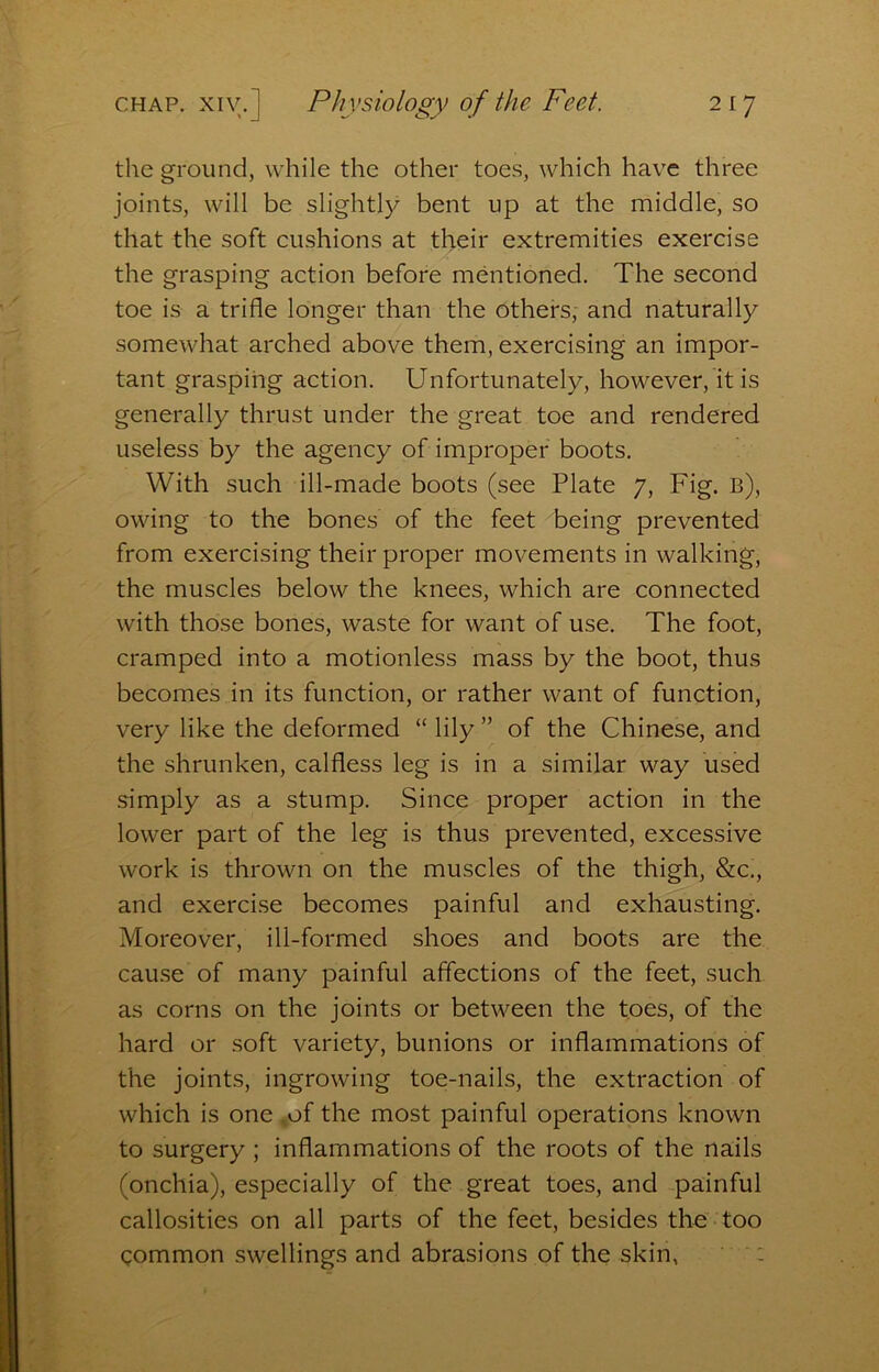 the ground, while the other toes, which have three joints, will be slightly bent up at the middle, so that the soft cushions at their extremities exercise the grasping action before mentioned. The second toe is a trifle longer than the others, and naturally somewhat arched above them, exercising an impor- tant grasping action. Unfortunately, however, it is generally thrust under the great toe and rendered useless by the agency of improper boots. With such ill-made boots (see Plate 7, Fig. b), owing to the bones of the feet being prevented from exercising their proper movements in walking, the muscles below the knees, which are connected with those bones, waste for want of use. The foot, cramped into a motionless mass by the boot, thus becomes in its function, or rather want of function, very like the deformed “ lily ” of the Chinese, and the shrunken, calfless leg is in a similar way used simply as a stump. Since proper action in the lower part of the leg is thus prevented, excessive work is thrown on the muscles of the thigh, &c., and exercise becomes painful and exhausting. Moreover, ill-formed shoes and boots are the cause of many painful affections of the feet, such as corns on the joints or between the toes, of the hard or soft variety, bunions or inflammations of the joints, ingrowing toe-nails, the extraction of which is one ,of the most painful operations known to surgery ; inflammations of the roots of the nails (onchia), especially of the great toes, and painful callosities on all parts of the feet, besides tho too common swellings and abrasions of the skin, ' :