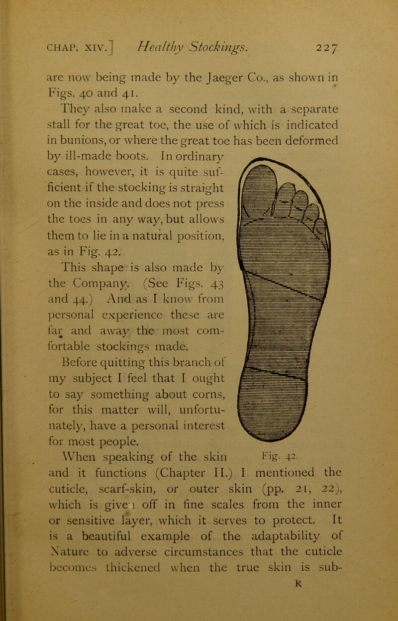 are now being made by the Jaeger Co., as shown in Figs. 40 and 41. They also make a second kind, with a separate stall for the great toe, the use of which is indicated in bunions, or where the great toe has been deformed by ill-made boots. In ordinary cases, however, it is quite suf- ficient if the stocking is straight on the inside and does not press the toes in any way, but allows them to lie in a natural position, as in Fig. 42. This shape is also made by the Company. (See Figs. 43 and 44:) And as I know from personal experience these are far and away the most com- fortable stockings made. Before quitting this branch of my subject I feel that I ought to say something about corns, for this matter will, unfortu- nately, have a personal interest for most people. When speaking of the skin Fig. 42. and it functions (Chapter II.) I mentioned the cuticle, scarf-skin, or outer skin (pp. 21, 22), which is given off in fine scales from the inner or sensitive layer, which it serves to protect. It is a beautiful example of the adaptability of Nature to adverse circumstances that the cuticle becomes thickened when the true skin is sub- R