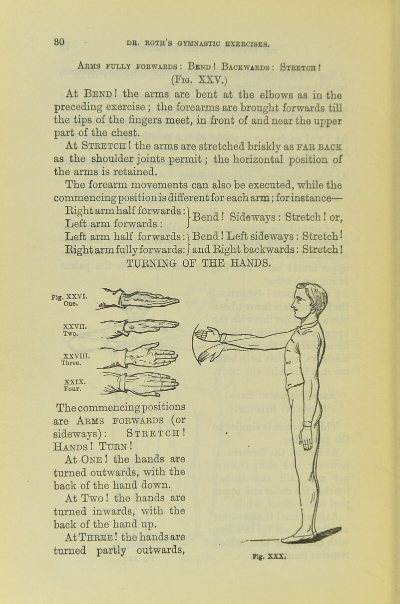 Arms fully forwards : Bend ! Backwards : Stretch ! (Fig. XXV.) At Bend ! the arms are bent at the elbows as in the preceding exercise ; the forearms are brought forwards till the tips of the fingers meet, in front of and near the upper part of the chest. At Stretch ! the arms are stretched briskly as far back as the shoulder joints permit; the horizontal position of the arms is retained. The forearm movements can also be executed, while the commencing position is different for each arm; for instance— Bight arm half forwards:)-p, ,. p, , T Bend! Sideways: Stretch! or, Left arm forwards: Left arm half forwards:) Bend! Left sideways : Stretch •’ Bight arm fully forwards: J and Bight backwards: Stretch! TURNING- OF THE HANDS. Fig. XXVI. One. XXVII. Two. XXVUI. Three. XXIX. Four. The commencing positions are Arms forwards (or sideways): Stretch! Hands! Turn! At One ! the hands are turned outwards, with the back of the hand down. At Two! the hands are turned inwards, with the back of the hand up. At Three ! the hands are turned partly outwards,