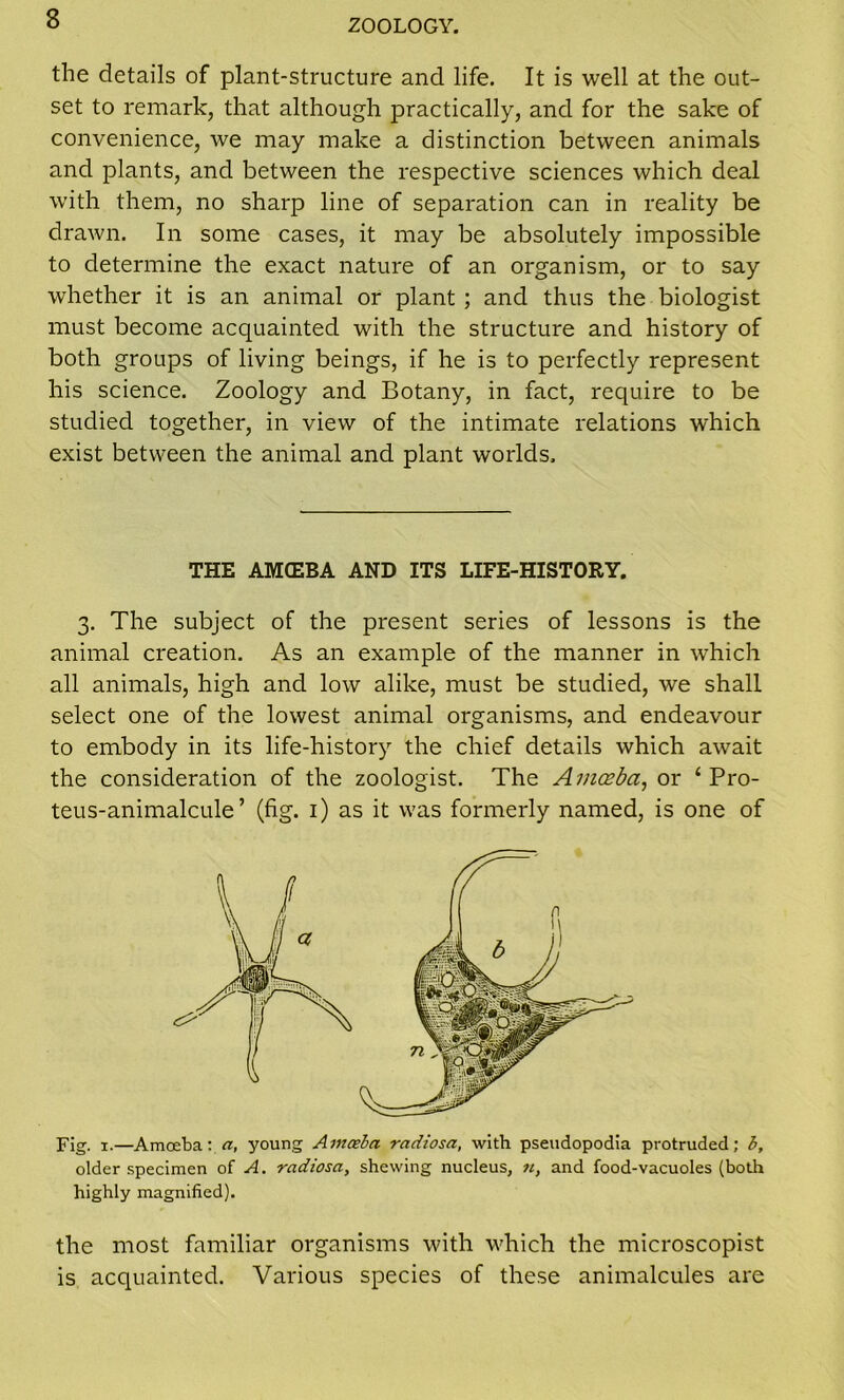 the details of plant-structure and life. It is well at the out- set to remark, that although practically, and for the sake of convenience, we may make a distinction between animals and plants, and between the respective sciences which deal with them, no sharp line of separation can in reality be drawn. In some cases, it may be absolutely impossible to determine the exact nature of an organism, or to say whether it is an animal or plant ; and thus the biologist must become acquainted with the structure and history of both groups of living beings, if he is to perfectly represent his science. Zoology and Botany, in fact, require to be studied together, in view of the intimate relations which exist between the animal and plant worlds. THE AMOEBA AND ITS LIFE-HISTORY. 3. The subject of the present series of lessons is the animal creation. As an example of the manner in which all animals, high and low alike, must be studied, we shall select one of the lowest animal organisms, and endeavour to embody in its life-history the chief details which await the consideration of the zoologist. The Amoeba, or ‘ Pro- teus-animalcule ’ (fig. 1) as it was formerly named, is one of Fig. 1.—Amoeba: a, young Amoeba radiosa, with pseudopodia protruded; b, older specimen of A. radiosa, shewing nucleus, tt, and food-vacuoles (both highly magnified). the most familiar organisms with which the microscopist is acquainted. Various species of these animalcules are