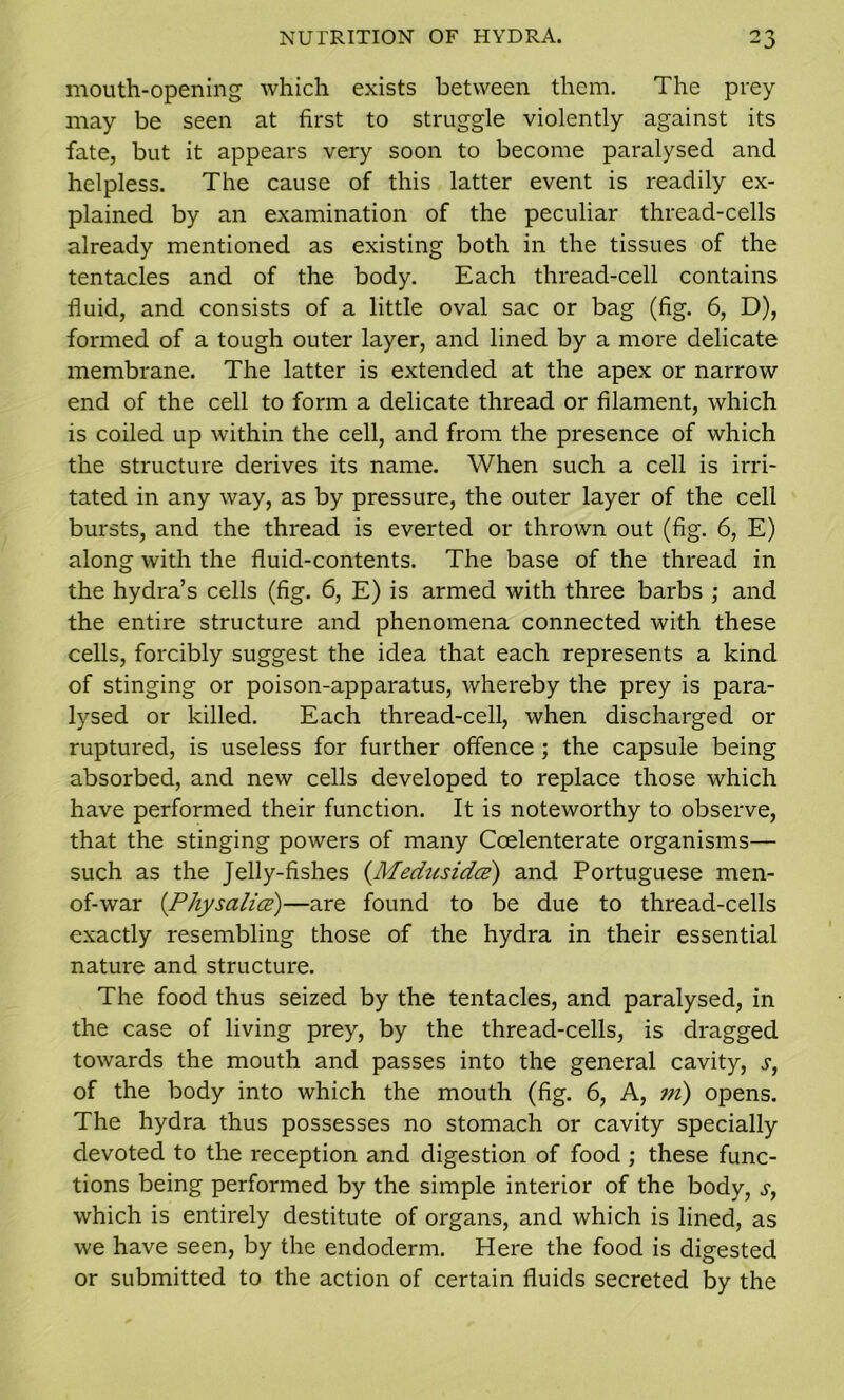 NUTRITION OF HYDRA. -3 mouth-opening which exists between them. The prey may be seen at first to struggle violently against its fate, but it appears very soon to become paralysed and helpless. The cause of this latter event is readily ex- plained by an examination of the peculiar thread-cells already mentioned as existing both in the tissues of the tentacles and of the body. Each thread-cell contains fluid, and consists of a little oval sac or bag (fig. 6, D), formed of a tough outer layer, and lined by a more delicate membrane. The latter is extended at the apex or narrow end of the cell to form a delicate thread or filament, which is coiled up within the cell, and from the presence of which the structure derives its name. When such a cell is irri- tated in any way, as by pressure, the outer layer of the cell bursts, and the thread is everted or thrown out (fig. 6, E) along with the fluid-contents. The base of the thread in the hydra’s cells (fig. 6, E) is armed with three barbs ; and the entire structure and phenomena connected with these cells, forcibly suggest the idea that each represents a kind of stinging or poison-apparatus, whereby the prey is para- lysed or killed. Each thread-cell, when discharged or ruptured, is useless for further offence ; the capsule being absorbed, and new cells developed to replace those which have performed their function. It is noteworthy to observe, that the stinging powers of many Ccelenterate organisms— such as the Jelly-fishes (.Medusidce) and Portuguese men- of-war (Physalice)—are found to be due to thread-cells exactly resembling those of the hydra in their essential nature and structure. The food thus seized by the tentacles, and paralysed, in the case of living prey, by the thread-cells, is dragged towards the mouth and passes into the general cavity, s, of the body into which the mouth (fig. 6, A, m) opens. The hydra thus possesses no stomach or cavity specially devoted to the reception and digestion of food ; these func- tions being performed by the simple interior of the body, s, which is entirely destitute of organs, and which is lined, as we have seen, by the endoderm. Here the food is digested or submitted to the action of certain fluids secreted by the
