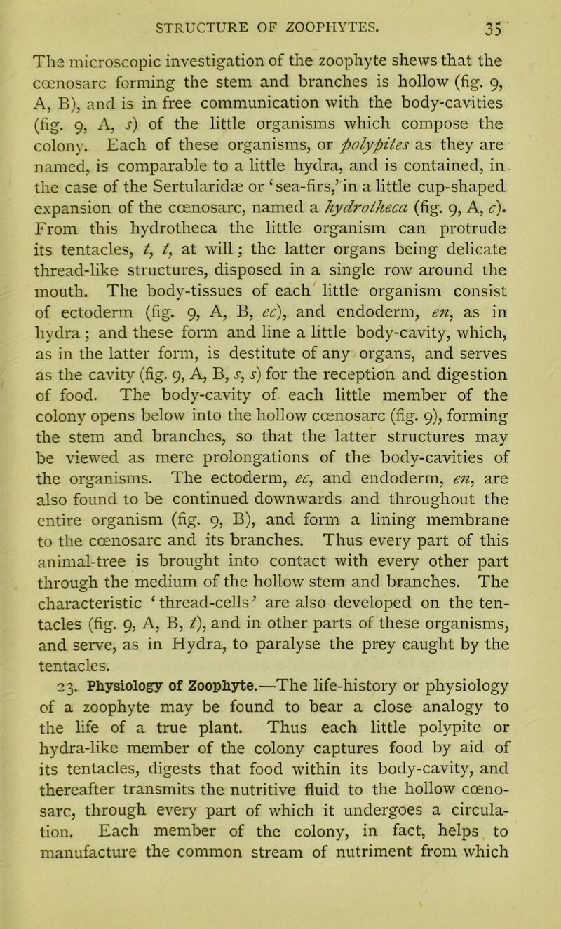 The microscopic investigation of the zoophyte shews that the coenosarc forming the stem and branches is hollow (fig. 9, A, B), and is in free communication with the body-cavities (fig. 9, A, s) of the little organisms which compose the colony. Each of these organisms, or polypites as they are named, is comparable to a little hydra, and is contained, in the case of the Sertularidae or ‘ sea-firs,’ in a little cup-shaped expansion of the coenosarc, named a hydroiheca (fig. 9, A, c). From this hydrotheca the little organism can protrude its tentacles, t, /, at will; the latter organs being delicate thread-like structures, disposed in a single row around the mouth. The body-tissues of each little organism consist of ectoderm (fig. 9, A, B, cc), and endoderm, en, as in hydra ; and these form and line a little body-cavity, which, as in the latter form, is destitute of any organs, and serves as the cavity (fig. 9, A, B, s, s) for the reception and digestion of food. The body-cavity of each little member of the colony opens below into the hollow coenosarc (fig. 9), forming the stem and branches, so that the latter structures may be viewed as mere prolongations of the body-cavities of the organisms. The ectoderm, ec, and endoderm, <?;z, are also found to be continued downwards and throughout the entire organism (fig. 9, B), and form a lining membrane to the coenosarc and its branches. Thus every part of this animal-tree is brought into contact with every other part through the medium of the hollow stem and branches. The characteristic ‘ thread-cells ’ are also developed on the ten- tacles (fig. 9, A, B, t), and in other parts of these organisms, and serve, as in Hydra, to paralyse the prey caught by the tentacles. 23. Physiology of Zoophyte.—The life-history or physiology of a zoophyte may be found to bear a close analogy to the life of a true plant. Thus each little polypite or hydra-like member of the colony captures food by aid of its tentacles, digests that food within its body-cavity, and thereafter transmits the nutritive fluid to the hollow coeno- sarc, through every part of which it undergoes a circula- tion. Each member of the colony, in fact, helps to manufacture the common stream of nutriment from which