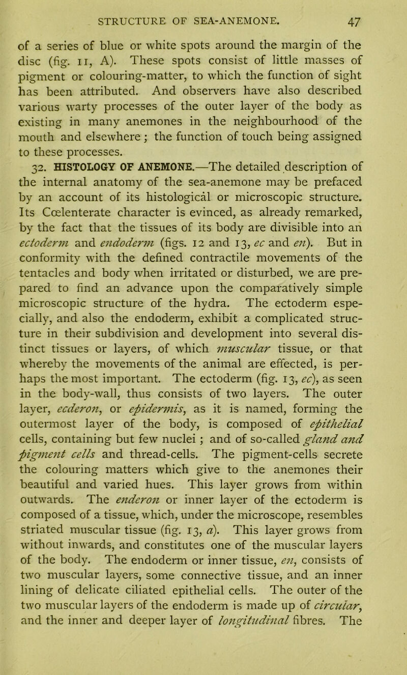 of a series of blue or white spots around the margin of the disc (fig. ii, A). These spots consist of little masses of pigment or colouring-matter, to which the function of sight has been attributed. And observers have also described various warty processes of the outer layer of the body as existing in many anemones in the neighbourhood of the mouth and elsewhere ; the function of touch being assigned to these processes. 32. HISTOLOGY OF ANEMONE.—The detailed description of the internal anatomy of the sea-anemone may be prefaced by an account of its histological or microscopic structure. Its Ccelenterate character is evinced, as already remarked, by the fact that the tissues of its body are divisible into an ectoderm and endoderm (figs. 12 and 13, ec and en). But in conformity wfith the defined contractile movements of the tentacles and body when irritated or disturbed, we are pre- pared to find an advance upon the comparatively simple microscopic structure of the hydra. The ectoderm espe- cially, and also the endoderm, exhibit a complicated struc- ture in their subdivision and development into several dis- tinct tissues or layers, of which muscular tissue, or that whereby the movements of the animal are effected, is per- haps the most important. The ectoderm (fig. 13, ec), as seen in the body-wall, thus consists of two layers. The outer layer, ecderon, or epidermis, as it is named, forming the outermost layer of the body, is composed of epithelial cells, containing but few nuclei ; and of so-called gla?id and pigment cells and thread-cells. The pigment-cells secrete the colouring matters which give to the anemones their beautiful and varied hues. This layer grows from within outwards. The enderon or inner layer of the ectoderm is composed of a tissue, which, under the microscope, resembles striated muscular tissue (fig. 13, a). This layer grows from without inwards, and constitutes one of the muscular layers of the body. The endoderm or inner tissue, en, consists of two muscular layers, some connective tissue, and an inner lining of delicate ciliated epithelial cells. The outer of the two muscular layers of the endoderm is made up of circular, and the inner and deeper layer of longitudinal fibres. The