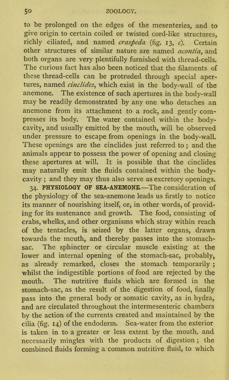 to be prolonged on the edges of the mesenteries, and to give origin to certain coiled or twisted cord-like structures, richly ciliated, and named craspeda (fig. 13, c). Certain other structures of similar nature are named acontici, and both organs are very plentifully furnished with thread-cells. The curious fact has also been noticed that the filaments of these thread-cells can be protruded through special aper- tures, named cinclides, which exist in the body-wall of the anemone. The existence of such apertures in the body-wall may be readily demonstrated by any one who detaches an anemone from its attachment to a rock, and gently com- presses its body. The water contained within the body- cavity, and usually emitted by the mouth, will be observed under pressure to escape from openings in the body-wall. These openings are the cinclides just referred to ; and the animals appear to possess the power of opening and closing these apertures at will. It is possible that the cinclides may naturally emit the fluids contained within the body- cavity ; and they may thus also serve as excretory openings. 34. PHYSIOLOGY OF SEA-ANEMONE.—The consideration of the physiology of the sea-anemone leads us firstly to notice its manner of nourishing itself, or, in other words, of provid- ing for its sustenance and growth. The food, consisting of crabs, whelks, and other organisms which stray within reach of the tentacles, is seized by the latter organs, drawn towards the mouth, and thereby passes into the stomach- sac. The sphincter or circular muscle existing at the lower and internal opening of the stomach-sac, probably, as already remarked, closes the stomach temporarily ; whilst the indigestible portions of food are rejected by the mouth. The nutritive fluids which are formed in the stomach-sac, as the result of the digestion of food, finally pass into the general body or somatic cavity, as in hydra, and are circulated throughout the intermesenteric chambers by the action of the currents created and maintained by the cilia (fig. 14) of the endoderm. Sea-water from the exterior is taken in to a greater or less extent by the mouth, and necessarily mingles with the products of digestion ; the combined fluids forming a common nutritive fluid, to which