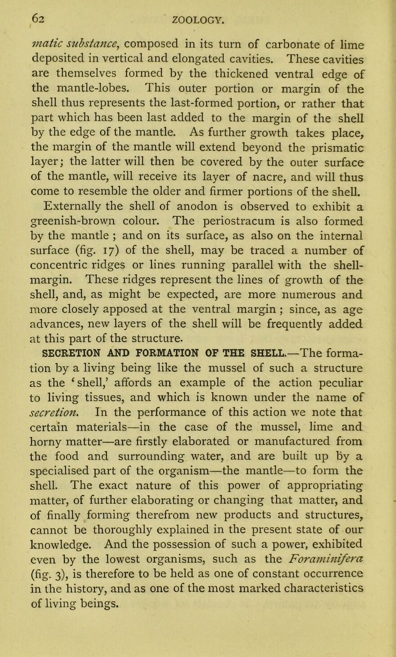 matic substance, composed in its turn of carbonate of lime deposited in vertical and elongated cavities. These cavities are themselves formed by the thickened ventral edge of the mantle-lobes. This outer portion or margin of the shell thus represents the last-formed portion, or rather that part which has been last added to the margin of the shell by the edge of the mantle. As further growth takes place, the margin of the mantle will extend beyond the prismatic layer; the latter will then be covered by the outer surface of the mantle, will receive its layer of nacre, and will thus come to resemble the older and firmer portions of the shell. Externally the shell of anodon is observed to exhibit a greenish-brown colour. The periostracum is also formed by the mantle ; and on its surface, as also on the internal surface (fig. 17) of the shell, may be traced a number of concentric ridges or lines running parallel with the shell- margin. These ridges represent the lines of growth of the shell, and, as might be expected, are more numerous and more closely apposed at the ventral margin ; since, as age advances, new layers of the shell will be frequently added at this part of the structure. SECRETION AND FORMATION OF THE SHELL.—The forma- tion by a living being like the mussel of such a structure as the £ shell,’ affords an example of the action peculiar to living tissues, and which is known under the name of secretion. In the performance of this action we note that certain materials—in the case of the mussel, lime and horny matter—are firstly elaborated or manufactured from the food and surrounding water, and are built up by a specialised part of the organism—the mantle—to form the shell. The exact nature of this power of appropriating matter, of further elaborating or changing that matter, and of finally forming therefrom new products and structures, cannot be thoroughly explained in the present state of our knowledge. And the possession of such a power, exhibited even by the lowest organisms, such as the Foraminifera (fig. 3), is therefore to be held as one of constant occurrence in the history, and as one of the most marked characteristics of living beings.
