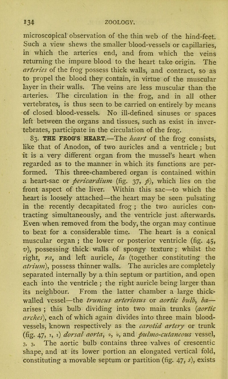 microscopical observation of the thin web of the hind-feet. Such a view shews the smaller blood-vessels or capillaries, in which the arteries end, and from which the veins returning the impure blood to the heart take origin. The arteries of the frog possess thick walls, and contract, so as to propel the blood they contain, in virtue of the muscular layer in their walls. The veins are less muscular than the arteries. The circulation in the frog, and in all other vertebrates, is thus seen to be carried on entirely by means of closed blood-vessels. No ill-defined sinuses or spaces left between the organs and tissues, such as exist in inver- tebrates, participate in the circulation of the frog. 83. THE FROG’S HEART.—The heart of the frog consists, like that of Anodon, of two auricles and a ventricle ; but it is a very different organ from the mussel’s heart when regarded as to the manner in which its functions are per- formed. This three-chambered organ is contained within a heart-sac or pericardium (fig. 37, p), which lies on the front aspect of the liver. Within this sac—to which the heart is loosely attached—the heart may be seen pulsating in the recently decapitated frog ; the two auricles con- tracting simultaneously, and the ventricle just afterwards. Even when removed from the body, the organ may continue to beat for a considerable time. The heart is a conical muscular organ ; the lower or posterior ventricle (fig. 45, v), possessing thick walls of spongy texture ; whilst the right, ra, and left auricle, la (together constituting the atrium), possess thinner walls. The auricles are completely separated internally by a thin septum or partition, and open each into the ventricle ; the right auricle being larger than its neighbour. From the latter chamber a large thick- walled vessel—the truncus arteriosus or aortic bulb, ba— arises ; this bulb dividing into two main trunks (aortic arches), each of which again divides into three main blood- vessels, known respectively as the carotid artery or trunk (fig. 47, 1, 1) dorsal aorta, 2, 2, and pulmo-cutaneotis vessel, 3, 3. The aortic bulb contains three valves of crescentic shape, and at its lower portion an elongated vertical fold, constituting a movable septum or partition (fig. 47, s), exists