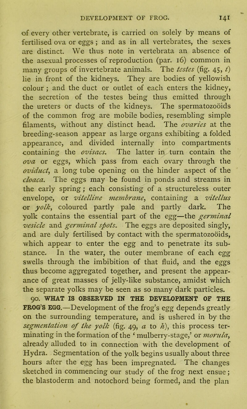of every other vertebrate, is carried on solely by means of fertilised ova or eggs ; and as in all vertebrates, the sexes are distinct. We thus note in vertebrata an absence of the asexual processes of reproduction (par. 16) common in many groups of invertebrate animals. The testes (fig. 45, t) lie in front of the kidneys. They are bodies of yellowish colour ; and the duct or outlet of each enters the kidney, the secretion of the testes being thus emitted through the ureters or ducts of the kidneys. The spermatozooids of the common frog are mobile bodies, resembling simple filaments, without any distinct head. The ovaries at the breeding-season appear as large organs exhibiting a folded appearance, and divided internally into compartments containing the ovisacs. The latter in turn contain the ova or eggs, which pass from each ovary through the oviduct, a long tube opening on the hinder aspect of the cloaca. The eggs may be found in ponds and streams in the early spring; each consisting of a structureless outer envelope, or vitelline membrane, containing a vitellus or yolk, coloured partly pale and partly dark. The yolk contains the essential part of the egg—the germinal vesicle and ger7iiinal spots. The eggs are deposited singly, and are duly fertilised by contact with the spermatozooids, which appear to enter the egg and to penetrate its sub- stance. In the water, the outer membrane of each egg swells through the imbibition of that fluid, and the eggs thus become aggregated together, and present the appear- ance of great masses of jelly-like substance, amidst which the separate yolks may be seen as so many dark particles. 90. WHAT IS OBSERVED IN THE DEVELOPMENT OF THE FROG’S EGG.—Development of the frog’s egg depends greatly on the surrounding temperature, and is ushered in by the segmentation of the yolk (fig. 49, a to h), this process ter- minating in the formation of the ‘ mulberry-stage,’ or morula, already alluded to in connection with the development of Hydra. Segmentation of the yolk begins usually about three hours after the egg has been impregnated. The changes sketched in commencing our study of the frog next ensue; the blastoderm and notochord being formed, and the plan