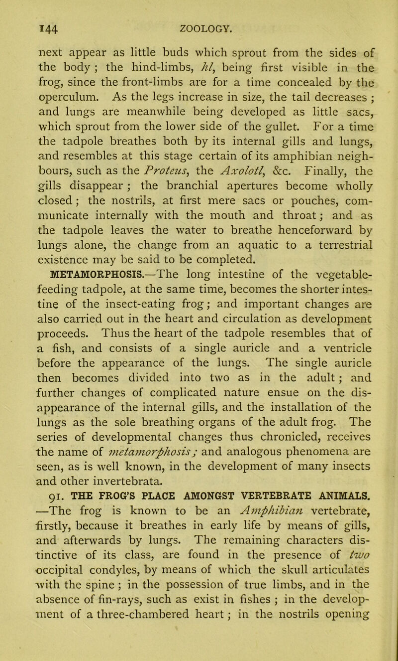 next appear as little buds which sprout from the sides of the body ; the hind-limbs, /z/, being first visible in the frog, since the front-limbs are for a time concealed by the operculum. As the legs increase in size, the tail decreases ; and lungs are meanwhile being developed as little sacs, which sprout from the lower side of the gullet. For a time the tadpole breathes both by its internal gills and lungs, and resembles at this stage certain of its amphibian neigh- bours, such as the Proteus, the Axolotl, &c. Finally, the gills disappear; the branchial apertures become wholly closed; the nostrils, at first mere sacs or pouches, com- municate internally with the mouth and throat; and as the tadpole leaves the water to breathe henceforward by lungs alone, the change from an aquatic to a terrestrial existence may be said to be completed. METAMORPHOSIS.—The long intestine of the vegetable- feeding tadpole, at the same time, becomes the shorter intes- tine of the insect-eating frog; and important changes are also carried out in the heart and circulation as development proceeds. Thus the heart of the tadpole resembles that of a fish, and consists of a single auricle and a ventricle before the appearance of the lungs. The single auricle then becomes divided into two as in the adult ; and further changes of complicated nature ensue on the dis- appearance of the internal gills, and the installation of the lungs as the sole breathing organs of the adult frog. The series of developmental changes thus chronicled, receives the name of metamorphosisj and analogous phenomena are seen, as is well known, in the development of many insects and other invertebrata. 91. THE FROG’S PLACE AMONGST VERTEBRATE ANIMALS. —The frog is known to be an Amphibian vertebrate, firstly, because it breathes in early life by means of gills, and afterwards by lungs. The remaining characters dis- tinctive of its class, are found in the presence of two occipital condyles, by means of which the skull articulates with the spine ; in the possession of true limbs, and in the absence of fin-rays, such as exist in fishes ; in the develop- ment of a three-chambered heart; in the nostrils opening