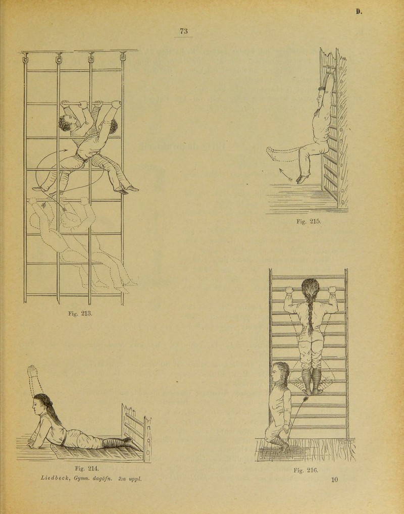 1 1 f 1 S i —! i -tzoft r°f • n 9? / / / /: ^ / vy- \ / y t \\ / \\| V'\^\ \ V \ , r1 \ \ • i iv ^ ! i 0 / \ '\ \ \ i Vx \ s > V-*'’-,- \ \ i *. \ \ V \ A ' »N U.'! l Fig. 213. m!5tv Vr\ 11 \ Fig. 214. Liedbeck, Gymn. dagöfn. 2;a uppl, 73 ©/■' Fig. 215. 10