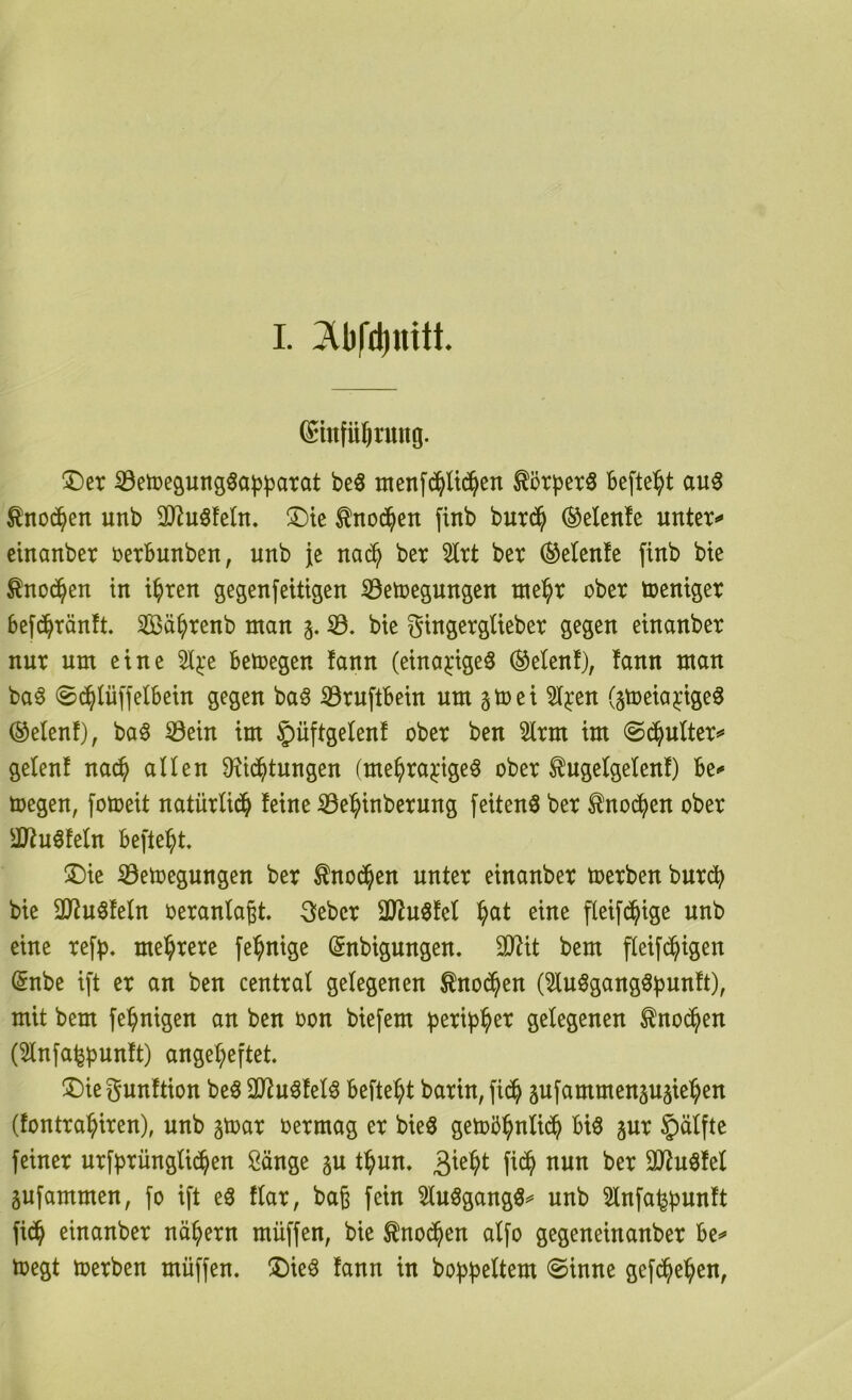 I. (Shtfüjrung. ®er ^etoegung§a)3patat be3 I^e^f(^U(^^en ^örperö befte^t au^ ^no(^^en unb 30^uöfeln. ^T)te ^noii^en finb but(^ ^elettle unter«^ einanber ijerbunben, unb je nac^ ber 5lrt ber ®e(enfe finb bte ^noc^en in t^ren gegenfeltigen ißetüegnngcn nte^r ober toentger bef(^^rän!t. Sä^renb man 3. iö, bte gtngergUeber gegen einanber nur nm eine 5ij:e betoegen !ann (eina^igeö (Setenf), fann man baö 0(^iüffelbein gegen ba^ S3ruftbcin um gtoei 5I^en (gtoeia^igeö ®elenf), ba§ 53ein im §üftgelenf ober ben 5lrm im ©(i^nlter^ getenf na(^ allen D^i^tungen (me^ra^igeö ober ^ngelgelen!) be<* megen, fotoeit natürli(^ feine iöe^inberung feiten^ ber ^nod^en ober •iUfnöfeln befielt :l)ie iöetoegungen ber ^no($en unter einanber toerben burcb bie 3}fuöfeln oeranlagt. 3eber 3Jfu§fel ^at eine fleifc^ige unb eine refp. mehrere [einige (gnbigungen. 2Jfit bem fleifd^igen (5nbe ift er an ben central gelegenen ^nod^en (^uSgang^bunft), mit bem [einigen an ben oon biefem betip^er gelegenen ^nod^en (5ln[a^bunft) ange^eftet. ^iDie gunftion beö äftnöfelö befte^t barin, fid^ 5ufammensu§ie:^en (fontra^iren), unb gtoar oermag er bie3 getoö^nlid^ biö pr §älfte feiner urfbrünglid^en ßänge §u t^un. fid^ nun ber äJfu^fel gufammen, fo ift eS flar, baß fein ^luögangö^ unb 2lnfai^bitnft fid^ einanber nähern müffen, bie ^nod^en alfo gegeneinanber be^ loegt toerben müffen. ÜDieö fann in boj3f)eltem (Sinne gefd^e^en,