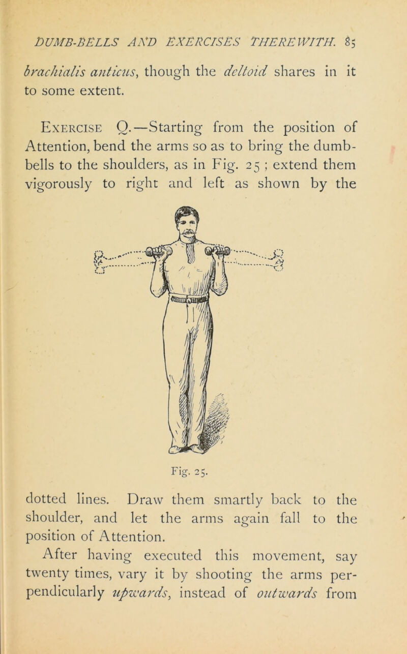 brachial is an tic us, though the deltoid shares in it to some extent. Exercise O.—Starting from the position of Attention, bend the arms so as to bring the dumb- bells to the shoulders, as in Fig. 25 ; extend them vigorously to right and left as shown by the dotted lines. Draw them smartly back to the shoulder, and let the arms again fall to the position of Attention. After having executed this movement, say twenty times, vary it by shooting the arms per- pendicularly upwards, instead of outwards from