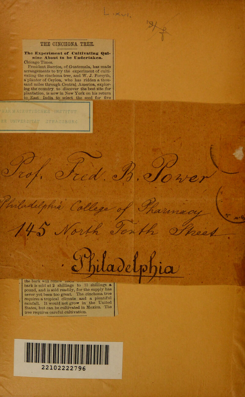 THE OINCHONA TREE. The Experiment of Cnltivatlne t^ul- nine About to be Untlertaken. Chicago Times. President Barrios, of Guatemala, has made aiTangements to try the experiment of culti- vating the cinchona tree, and W. J. Forsyth, a planter of Ceylon, who has ridden a thou- sand miles through Central America, explor- Ing the country to discover the best site for plantation, is now in New York on his return to East India to seleet the seed for five pound, and is sold readily, for the supply has never yet been too great. The cinchona tree requires a tropical climate and a plentiful rainfall. It would not grow in the United States, but can be cultivated in Mexico. The tree requires careful cultivation. 22102222796