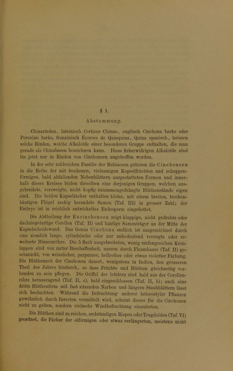 § 1. Abstammung. Chinarinden, lateinisch Cortices Chinae, englisch Cincliona barks oder Peruvian barks, französisch Ecorces de Quinquina, Qufna spanisch, heissen solche Einden, welche Alkaloide einer besonderen Gruppe enthalten, die man gerade als Chinabasen bezeichnen kann. Diese fieberwidrigen Alkaloide sind bis jetzt nur in Einden von Cinclionecn angetroffen worden. In der sehr zahlreichen Familie der Eubiaceen gehören die Cinchoneen in die Eeihe der mit trockenen, vielsamigen Kapselfrüchten und schuppen- förmigen, bald abfallenden Nebenblättern ausgestatteten Formen und inner- halb dieses Kreises bilden dieselben eine derjenigen Gruppen, welchen aus- gebreitete, verzweigte, nicht kopfig zusammengedrängte lllüthenstände eigen sind. Die beiden Kapsellächer enthalten kleine, mit einem breiten, trocken- häutigen Flügel zackig berandete Samen (Taf. III) in grosser Zahl; der Embryo ist in reichlich entwickeltes Endosperm eingebettet. Die Abthcilung der Eucinchonecn zeigt klappige, nicht gedrehte oder dachziegelartige Corollen (Taf. II) und kantige Samenträger an der Mitte der Kapselscheidewand. Das Genus Cincliona endlich ist ausgezeichnet durch eine ziemlich lange, cylindrische oder nur unbedeutend verengte oder er- weiterte Blumenrohre. Die 5 flach ausgebreiteten, wenig umfangreichen Kron- lappen sind von zarter Beschaffenheit, aussen durch Flaumhaare (Taf. II) ge- schmückt, von weisslichor, purpurner, hellrother oder etwas violetter Färbung. Die Blüthenzeit der Cinchonen dauert, wenigstens in Indien, den grösseren Theil des Jahres hindurch, so dass Früchte und Blüthen gleichzeitig vor- handen zu sein pflegen. Die Griffel der letztem sind bald aus der Corollen- röhre herausragend (Taf. II, c), bald eingeschlossen (Taf. II, b); auch eine dritte Blüthenform mit fast sitzenden Narben und längern Staubblättern lässt sich beobachten. Während die Befruchtung anderer heterostylcr Pflanzen gewöhnlich durch Insecten vermittelt wird, scheint dieses für die Cinchonen nicht zu gelten, sondern vielmehr Windbefraclitung einzutreten. Die Blüthen sind zu reichen, endständigen Eispen oder Trugdolden (Taf. VI) geordnet, die Fächer der eiförmigen oder etwas verlängerten, meistens nicht