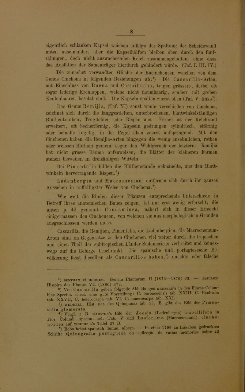 eigentlich schlanken Kapsel weichen infolge (1er Spaltung der Scheidewand unten auseinander, aber die Kapselhälften bleiben oben durch den fünf- zähnigen , doch nicht auswachsenden Kelch zusammengehalten, ohne dass das Ausfallen der Samenträger hierdurch gehindert würde. (Taf. I. III. IY.) Die zunächst verwandten Glieder der Eucinchoneen weichen von dem Genus Cinchona in folgenden Beziehungen ab:1) Die Cascarilla-Arten, mit Einschluss von Bucna und Cosmibuena, tragen grössere, derbe, oft sogar lederige Kronlappen, welche nicht flaumhaarig, sondern mit groben Keulenhaaren besetzt sind. Die Kapseln spalten zuerst oben (Taf. Y, links2). Das Genus Bernijia, (Taf. YI) sonst wenig verschieden von Cinchona, zeichnet sich durch die langgestielten, unterbrochenen, blattwinkelständigen Blüthentrauben, Trugdolden oder Rispen aus. Ferner ist der Kelchrand erweitert, oft becherförmig, die Kapseln gedrungen cylindrisch, eiförmig oder beinahe kugelig, in der Regel oben zuerst aufspringend. Mit den Cinchonen haben die Remijia-Arten hingegen die wenig ansehnlichen, rothen oder weissen Blüthen gemein, sogar den Wohlgeruch der letztem. Remijia hat nicht grosse Bäume aufzuweisen; die Blätter der kleineren Formen stehen bisweilen in dreizähligen Wirteln. Bei Pimentelia bilden die Blüthenstände geknäuelte, aus den Blatt- winkeln hervorragende Rispen.3) Ladenbergia und Macrocnemum entfernen sich durch ihr ganzes Aussehen in auffälligster Weise von Cinchona.4) Wie weit die Rinden dieser Pflanzen entsprechende Unterschiede in Betreff ihres anatomischen Baues zeigen, ist nur erst wenig erforscht; die unten p. 42 genannte Condaminea, nähert sich in dieser Hinsicht einigermassen den Cinchoneen, von welchen sie aus morphologischen Gründen ausgeschlossen werden muss. Cascarilla, die Remijien, Pimentelia, die Ladenbergien, die Macrocnemum- Arten sind im Gegensätze zu den Cinchonen viel weiter durch die tropischen und einen Theü der subtropischen Länder Südamericas verbreitet und keines- wegs auf die Gebirge beschränkt. Die spanische und portugiesische Be- völkerung fasst dieselben als Cascarillos bobos,°) unechte oder falsche !) bentham et hooker. Genera Plantarum II (1873 1876) 33. bait.eon. Histoire des Plantes VII (1880) 479. 2) Von Cascarilla geben folgende Abbildungen karsten s in den Florae Colum- biac Specim. select. eine gute Vorstellung: C. barbacoensis tab. XXIII, C. Henleana tab. XXVII, C. heterocarpa tab. VI, C. macrocarpa tab. XXI. s) weddelij, Hist. nat. des Quinquinas tab. 27, B. gibt das Bild der Pimen- telia glomerata. . 4) Vergl. z. B. karstkn’s Bild der Joosia (Ladenbergia) umbellitera in Flor. Columb. specim. sei. Tab. V und Läsion cm a (Macrocnemum) ci nc ho- tt o'id es auf weddell’s Tafel 27 B. 8) Bobo lieisst spanisch dumm, albern. — In einer 1799 zu Lissabon gedruckten Schrift: Quinografia portugucza ou collcc^io de varias memorias sobre 22