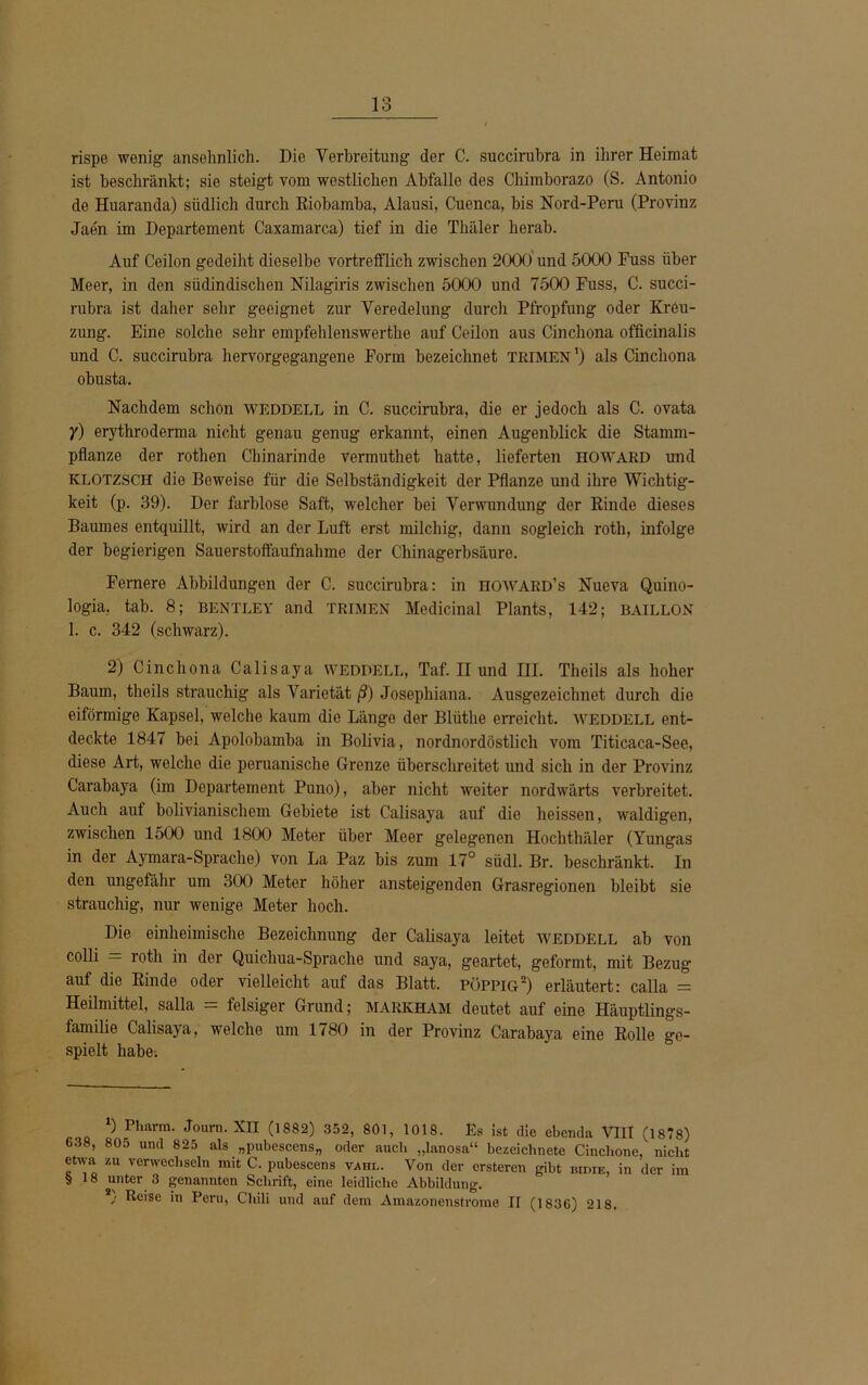 rispe wenig ansehnlich. Die Verbreitung der C. succirubra in ihrer Heimat ist beschränkt; sie steigt vom westlichen Abfalle des Chimborazo (S. Antonio de Huaranda) südlich durch Riobamba, Alausi, Cuenca, bis Nord-Peru (Provinz Jaen im Departement Caxamarca) tief in die Thäler herab. Auf Ceilon gedeiht dieselbe vortrefflich zwischen 2000 und 5000 Fuss über Meer, in den südindischen Nilagiris zwischen 5000 und 7500 Fuss, C. succi- rubra ist daher sehr geeignet zur Veredelung durch Pfropfung oder Kreu- zung. Eine solche sehr empfehlenswerthe auf Ceilon aus Cinchona officinalis und C. succirubra hervorgegangene Form bezeichnet TRIMEN1) als Cinchona obusta. Nachdem schon weddell in C. succirubra, die er jedoch als C. ovata y) erythroderma nicht genau genug erkannt, einen Augenblick die Stamm- pflanze der rothen Chinarinde vermuthet hatte, lieferten HOWARD und klotzsch die Beweise für die Selbständigkeit der Pflanze und ihre Wichtig- keit (p. 39). Der farblose Saft, welcher bei Verwundung der Rinde dieses Baumes entquillt, wird an der Luft erst milchig, dann sogleich roth, infolge der begierigen Sauerstoftäufnahme der Chinagerbsäure. Fernere Abbildungen der C. succirubra: in howard’s Nueva Quino- logia, tab. 8; bentley and TRIMEN Medicinal Plants, 142; baillon 1. c. 342 (schwarz). 2) Cinchona Calisaya WEDDELL, Taf. II und III. Theils als hoher Baum, theils strauchig als Varietät ß) Josephiana. Ausgezeichnet durch die eiförmige Kapsel, welche kaum die Länge der Bliithe erreicht, weddell ent- deckte 1847 bei Apolobamba in Bolivia, nordnordöstlich vom Titicaca-See, diese Art, welche die peruanische Grenze überschreitet und sich in der Provinz Carabaya (im Departement Puno), aber nicht weiter nordwärts verbreitet. Auch auf bolivianischem Gebiete ist Calisaya auf die heissen, waldigen, zwischen 1500 und 1800 Meter über Meer gelegenen Hochthäler (Yungas in der Aymara-Sprache) von La Paz bis zum 17° südl. Br. beschränkt. In den ungefähr um 300 Meter höher ansteigenden Grasregionen bleibt sie strauchig, nur wenige Meter hoch. Die einheimische Bezeichnung der Calisaya leitet weddell ab von colli — roth in der Quicliua-Sprache und saya, geartet, geformt, mit Bezug auf die Rinde oder vielleicht auf das Blatt, pöppig2) erläutert: calla = Heilmittel, salla = felsiger Grund; markham deutet auf eine Häuptlings- familie Calisaya, welche um 1780 in der Provinz Carabaya eine Rolle ge- spielt habe. ) Pharm. Jo um. XII (1882) 352, 801, 1018. Es ist die ebenda VIII (1878) 638, 805 und 825 als „pubescensn oder auch „lanosa“ bezeiclinete Cinchone, nicht etwa zu verwechseln mit C. pubescens vahl. Von der crsteren gibt bidie, in der im $ 18 unter 3 genannten Schrift, eine leidliche Abbildung. • Reise in Peru, Chili und auf dem Amazonenstrome II (1836) 218,