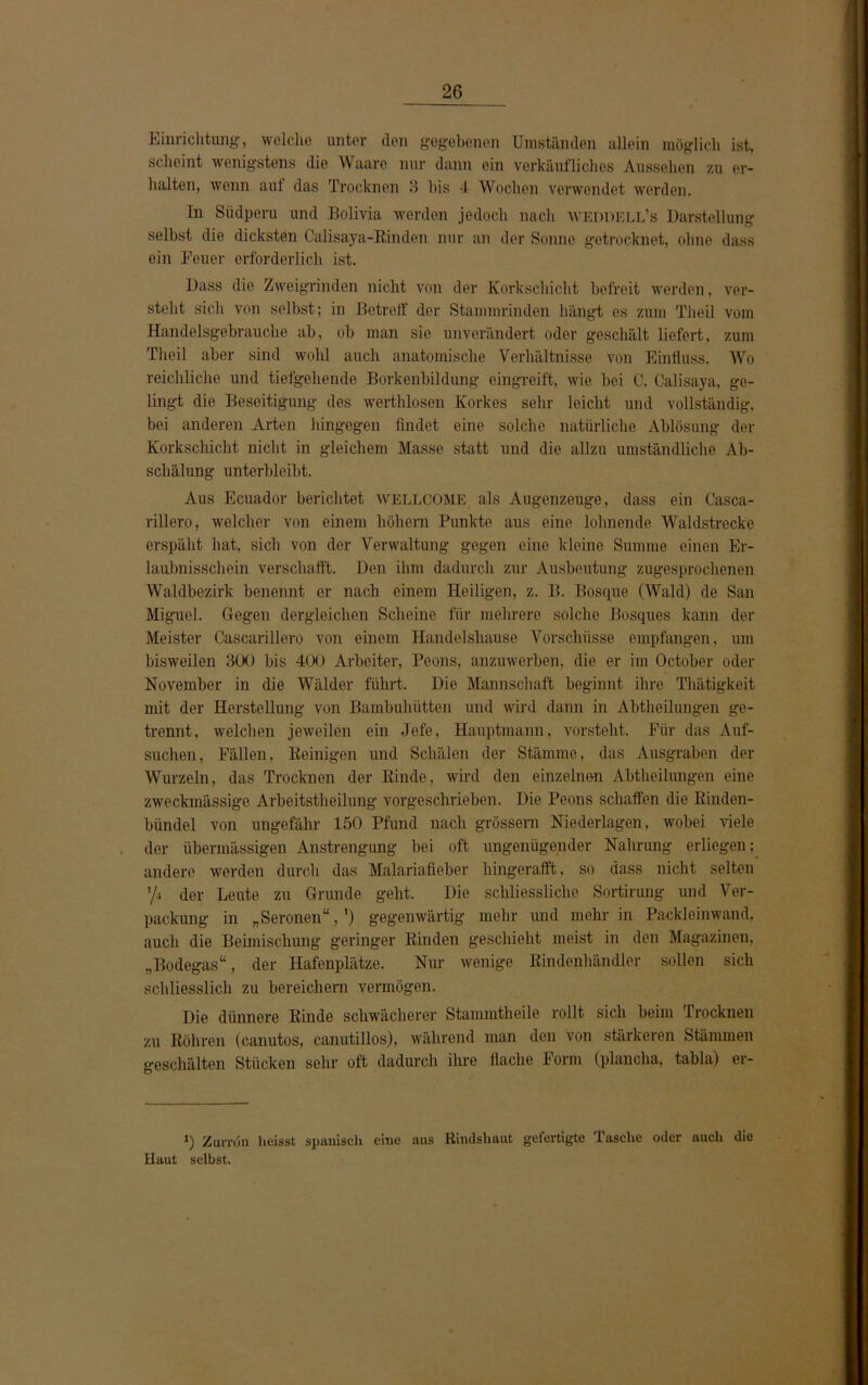 Einrichtung, welche unter den gegebenen Umständen allein möglich ist, scheint wenigstens die Waarc nur dann ein verkäufliches Aussehen zu er- halten, wenn auf das Trocknen 3 bis 4 Wochen verwendet werden. In Südperu und Bolivia werden jedoch nach WEDDELL’s Darstellung selbst die dicksten Calisaya-Rinden nur an der Sonne getrocknet, ohne dass ein Feuer erforderlich ist. Dass die Zweigrinden nicht von der Korkschicht befreit werden, ver- steht sich von selbst; in Betreff der Stammrinden hängt es zum Theil vom Handelsgebrauche ab, ob man sie unverändert oder geschält liefert, zum Theil aber sind wohl auch anatomische Verhältnisse von Einfluss. Wo reichliche und tiefgehende Borkenbildung eingreift, wie bei C. Calisaya, ge- lingt die Beseitigung des werthlosen Korkes sehr leicht und vollständig, bei anderen Arten hingegen findet eine solche natürliche Ablösung der Korkschicht nicht in gleichem Masse statt und die allzu umständliche Ab- schälung unterbleibt. Aus Ecuador berichtet WELLCOME als Augenzeuge, dass ein C'asca- rillero, welcher von einem höhern Punkte aus eine lohnende Waldstrecke erspäht hat, sich von der Verwaltung gegen eine kleine Summe einen Er- laubnisschein verschafft. Den ihm dadurch zur Ausbeutung zugesproclienen Wahlbezirk benennt er nach einem Heiligen, z. B. Bosque (Wald) de San Miguel. Gegen dergleichen Scheine für mehrere solche Bosques kann der Meister Cascarillero von einem Handelshause Vorschüsse empfangen, um bisweilen 300 bis 400 Arbeiter, Peons, anzuwerben, die er im October oder November in die Wälder führt. Die Mannschaft beginnt ihre Thätigkeit mit der Herstellung von Bambuhütten und wird dann in Abtheilungen ge- trennt, welchen jeweilen ein Jefe, Hauptmann, vorstelit. Für das Auf- suchen, Fällen, Reinigen und Schälen der Stämme, das Ausgraben der Wurzeln, das Trocknen der Rinde, wird den einzelnen Abtheilungen eine zweckmässige Arbeitstheilung vorgeschrieben. Die Peons schaffen die Rinden- bündel von ungefähr 150 Pfund nach grossem Niederlagen, wobei viele der übermässigen Anstrengung bei oft ungenügender Nahrung erliegen; andere werden durch das Malariafieber hingerafft, so dass nicht selten '/* der Leute zu Grunde geht. Die schliessliche Sortirung und Ver- packung in „Seronen“,') gegenwärtig mehr und mehr in Packleinwand, auch die Beimischung geringer Rinden geschieht meist in den Magazinen, „Bodegas“, der Hafenplätze. Nur wenige Rindenhändler sollen sich schliesslich zu bereichern vermögen. Die dünnere Rinde schwächerer Stammtheile rollt sich beim Trocknen zu Röhren (canutos, canutillos), während man den von stärkeren Stämmen geschälten Stücken sehr oft dadurch ihre flache Form (plancha, tabla) er- ») Zuvrdn heisst spanisch eine aus Rindshaut gefertigte Tasche oder auch die Haut selbst.