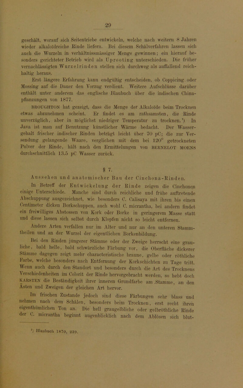 geschält, worauf sicli Seitentriebc entwickeln, welche nach weitern 8 Jahren wieder alkaloidreiche Rinde liefern. Bei diesem Schälverfahren lassen sich auch die Wurzeln in verhältnissmässiger Menge gewinnen; ein hierauf be- sonders gerichteter Betrieb wird als Uprooting unterschieden. Die früher vernachlässigten Wurzel rinden stellen sich durchweg als auffallend reich- haltig heraus. Erst längere Erfahrung kann endgültig entscheiden, ob Coppicing. oder Mossing auf die Dauer den Vorzug verdient. Weitere Aufschlüsse darüber enthält unter anderem das englische Blaubuch über die indischen China- pflanzungen von 1877. BROUGHTON hat gezeigt, dass die Menge der Alkaloide beim Trocknen etwas abzunehmen scheint. Er findet es am rathsamsten, die Rinde unverzüglich, aber in möglichst niedriger Temperatur zu trocknen.') In Java ist man auf Benutzung künstlicher Wärme bedacht. Der Wasser- gehalt frischer indischer Rinden beträgt leicht über 70 pC; die zur Ver- sendung gelangende Waare, verglichen mit dem bei 120° getrockneten Pulver der Rinde, hält nach den Ermittelungen von BERNELOT MOENS durchschnittlich 13.5 pC Wasser zurück. § 7. Aussehen und anatomischer Bau der Cinchona-Rinden. In Betreff der Entwickelung der Rinde zeigen die Cinchonen einige Unterschiede. Manche sind durch reichliche und frühe auftretende Abschuppung ausgezeichnet, wie besonders C. Calisaya mit ihren bis einen Centimeter dicken Borkschuppen, auch wohl C. micrantha, bei andern findet ein freiwilliges Abstossen von Kork oder Borke in geringerem Masse statt und diese lassen sich selbst durch Klopfen nicht so leicht entfernen. Andere Arten verfallen nur im Alter und nur an den unteren Stamm- theilen und an der Wurzel der eigentlichen Borkenbildung. Bei den Rinden jüngerer Stämme oder der Zweige herrscht eine grau- liche, bald helle, bald schwärzliche Färbung vor, die Oberfläche dickerer Stämme dagegen zeigt mehr cliaracteristische braune, gelbe oder röthliche Farbe, welche besonders nach Entfernung der Korkschichten zu Tage tritt. Wenn auch durch den Standort und besonders durch die Art des Trocknens Verschiedenheiten im Colorit der Rinde hervorgebracht werden, so hebt doch KARSTEN die Beständigkeit ihrer inneren Grundfarbe am .Stamme, an den Asten und Zweigen der gleichen Art hervor. Im frischen Zustande jedoch sind diese Färbungen sehr blass und nehmen nach dem Schälen, besonders beim Trocknen, erst recht ihren eigentümlichen Ton an. Die hell graugelbliche oder gelbröthliche Rinde der C. micrantha beginnt augenblicklich nach dem Ablösen sich blut- ') Blaubuch 1870, 239.