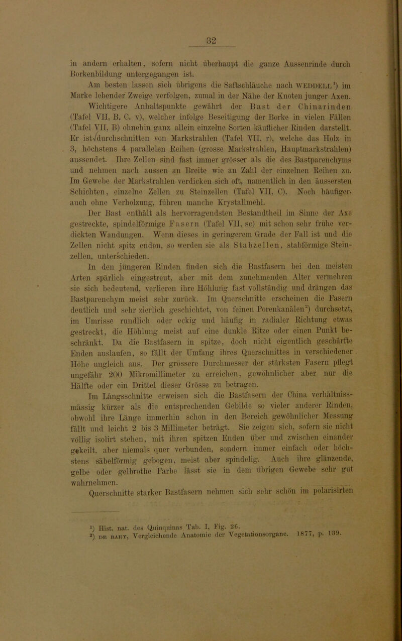 in andern erhalten, sofern nicht überhaupt die ganze Ausscnrinde durch Borkenbildung untergegangen ist. Am besten lassen sich übrigens die Saftschläuche nach weddell1) im Marke lobender Zweige verfolgen, zumal in der Nähe der Knoten junger Axon. Wichtigere Anhaltspunkte gewährt der Bast der Chinarinden (Tafel VII, B. C. v), welcher infolge Beseitigung der Borke in vielen Fällen (Tafel VII, B) ohnehin ganz allein einzelne Sorten käuflicher Rinden darstellt. Er ist'/durchschnitten von Markstrahlen (Tafel VII. r), welche das Holz in 3, höchstens 4 parallelen Reihen (grosse Markstrahlen, Hauptmarkstrahlen) aussendet. Ihre Zellen sind fast immer grösser als die des Bastparenchyms und nehmen nach aussen an Breite wie an Zahl der einzelnen Reihen zu. Im Gewebe der Markstrahlen verdicken sich oft, namentlich in den äussersten Schichten, einzelne Zellen zu Steinzellen (Tafel VII, C). Noch häufiger- auch ohne Verholzung, führen manche Krystallmehl. Der Bast enthält als hervorragendsten Bestandtheil im Sinne der Axe gestreckte, spindelförmige Fasern (Tafel VII, sc) mit schon sehr frühe ver- dickten Wandungen. Wenn dieses in geringerem Grade der Fall ist und die Zellen nicht spitz enden, so werden sie als Stabzellen, stabförmige Stein- zellen, unterschieden. In den jüngeren Rinden finden sich die Bastfasern bei den meisten Arten spärlich eingestreut, aber mit dem zunehmenden Alter vermehren sie sich bedeutend, verlieren ihre Höhlung fast vollständig und drängen das Bastparenchym meist sehr zurück. Im Querschnitte erscheinen die Fasern deutlich und sehr zierlich geschichtet, von feinen Porenkanälen') durchsetzt, im Umrisse rundlich oder eckig und häufig in radialer Richtung etwas gestreckt, die Höhlung meist auf eine dunkle Ritze oder einen Punkt be- schränkt. Da die Bastfasern in spitze, doch nicht eigentlich geschärfte Enden auslaufen, so fällt der Umfang ihres Querschnittes in verschiedener Höhe ungleich aus. Der grössere Durchmesser der stärksten Fasern pflegt ungefähr 200 Mikromillimeter zu erreichen, gewöhnlicher aber nur die Hälfte oder ein Drittel dieser Grösse zu betragen. Im Längsschnitte erweisen sich die Bastfasern der China verliältniss- mässig kürzer als die entsprechenden Gebilde so vieler anderer Rinden, obwohl ihre Länge immerhin schon in den Bereich gewöhnlicher Messung fällt und leicht 2 bis 3 Millimeter beträgt. Sie zeigen sieb, sofern sie nicht völlig isolirt stehen, mit ihren spitzen Enden über und zwischen einander gekeilt, aber niemals quer verbunden, sondern immer einfach oder höch- stens säbelförmig gebogen, meist aber spindelig. Auch ihre glänzende, gelbe oder gelbrothe Farbe lässt sie in dem übrigen Gewebe sehr gut wahrnehmen. Querschnitte starker Bastfasern nehmen sich sehr schön im polarisirten 0 Hist. nat. des Quinquinas Tab. I, Fig. 26.