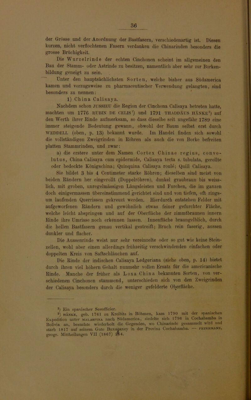 der Grösse und der Anordnung der Bastfasern, verschiedenartig ist. Diesen kurzen, nicht verflochtenen Fasern verdanken die Chinarinden besonders die grosse Brüchigkeit. Die Wurzel rinde der echten Cinchonen scheint im allgemeinen den Bau der Stamm- oder Astrinde zu besitzen, namentlich aber sehr zur Borken- bildung geneigt zu sein. Unter den hauptsächlichsten Sorten, welche bisher aus Südamerica kamen und vorzugsweise zu pharmaceutischer Verwendung gelangten, sind besonders zu nennen: 1) Ch ina Calisaya. Nachdem schon JUSSIEU die Region der Cinchona Calisaya betreten hatte, machten um 1776 RUBIN DE CELIS’) und 1791 THADDÄUS danke* 2) auf den Werth ihrer Rinde aufmerksam, so dass dieselbe seit ungefähr 1789 eine immer steigende Bedeutung gewann, obwohl der Baum selbst erst durch WEDDELL (oben, p. 13) bekannt wurde. Im Handel finden sich sowohl die vollständigen Zweigrinden in Röhren als auch die von Borke befreiten platten Stammrinden, und zwar: a) die erstere unter dem Namen Cortex Chinae regius, convo- lutus, China Calisaya cum epidermide, Calisaya tecta s. tubulata, gerollte oder bedeckte Königschina; Quinquina Calisaya roule; Quill Calisaya. Sie bildet 3 bis 4 Centimeter starke Röhren; dieselben sind meist von beiden Rändern her eingerollt (Doppelröhren), dunkel graubraun bis weiss- lich, mit groben, unregelmässigen Längsleisten und Furchen, die im ganzen doch einigermassen übereinstimmend gerichtet sind und von tiefen, oft rings- um laufenden Querrissen gekreuzt werden. Hierdurch entstehen Felder mit aufgeworfenen Rändern und gewöhnlich etwas feiner gefurchter Fläche, welche leicht abspringen und auf der Oberfläche der zimmtbraunen innern Rinde ihre Umrisse noch erkennen lassen. Innenfläche braungelblich, durch die hellen Bastfasern genau vertikal gestreift; Bruch rein faserig, aussen dunkler und flacher. Die Aussenrinde weist nur sehr vereinzelte oder so gut wie keine Stein- zellen, wohl aber einen allerdings frühzeitig verschwindenden einfachen oder doppelten Kreis von Saftschläuchen auf. Die Rinde der indischen Calisaya Ledgeriana (siehe oben, p. 14) bietet durch ihren viel hohem Gehalt nunmehr vollen Ersatz für die americanische Rinde. Manche der früher als Loxa China bekannten Sorten, von ver- schiedenen Cinchonen stammend, unterschieden sich von den Zweigrinden der Calisaya besonders durch die weniger gefelderte Oberfläche. *) Ein spanischer Seeofficier. 2) hXnke, geb. 1761 zu Kreibitz in Böhmen, kam 1790 mit der spanischen Expedition unter malaspina nach Siidamerica, siedelte sieh Ii96 in Lochabamba in Bolivia an, besuchte wiederholt die Gegenden, wo Chinarinde gesammelt wird und starb 1817 auf seinem Gute Buxueuxev in der Provinz Coehabamba. — petkkmann, geogr. Mittheilungen VII (1867) $54.