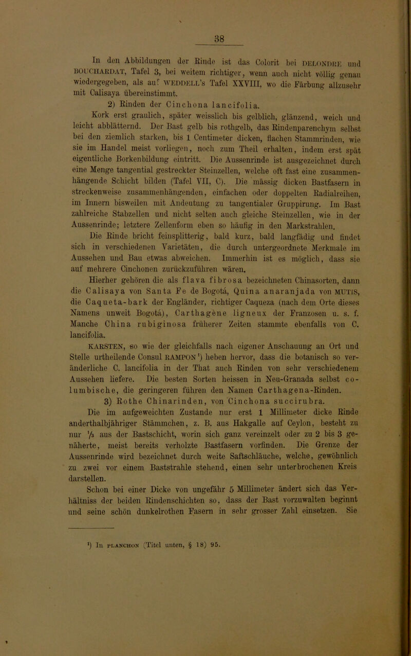 In den Abbildungen der Rinde ist das Colorit bei delondre und BOUCHAEDAT, Tafel 3, bei weitem richtiger, wenn auch nicht völlig genau wiedergegeben, als auf weddell’s Tafel XXVIII, wo die Färbung allzusehr mit Calisaya übereinstimmt. 2) Rinden der Cinchona lancifolia. Kork erst graulich, später weisslich bis gelblich, glänzend, weich und leicht abblätternd. Der Bast gelb bis rothgelb, das Rindenparenchym selbst bei den ziemlich starken, bis 1 Centimeter dicken, flachen Stammrinden, wie sie im Handel meist vorliegen, noch zum Theil erhalten, indem erst spät eigentliche Borkenbildung eintritt. Die Aussenrinde ist ausgezeichnet durch eine Menge tangential gestreckter Steinzellen, welche oft fast eine zusammen- hängende Schicht bilden (Tafel VII, C). Die mässig dicken Bastfasern in streckenweise zusammenhängenden, einfachen oder doppelten Radialreihen, im Innern bisweilen mit Andeutung zu tangentialer Gruppirung. Im Bast zahlreiche Stabzellen und nicht selten auch gleiche Steinzellen, wie in der Aussenrinde; letztere Zellenform eben so häufig in den Markstrahlen. Die Rinde bricht feinsplitterig, bald kurz, bald langfädig und findet sich in verschiedenen Varietäten, die durch untergeordnete Merkmale im Aussehen und Bau etwas abweichen. Immerhin ist es möglich, dass sic auf mehrere Cinchonen zurückzuführen wären. Hierher gehören die als flava fibrosa bezeichneten Chinasorten, dann die Calisaya von Santa Fe de Bogota, Quina anaranjada von mütis, die Caqueta-bark der Engländer, richtiger Caqueza (nach dem Orte dieses Namens unweit Bogota), Carthagene ligneux der Franzosen u. s. f. Manche China rubiginosa früherer Zeiten stammte ebenfalls von C. lancifolia. KARSTEN, so wie der gleichfalls nach eigener Anschauung an Ort und Stelle urtheilende Consul rampon1) heben hervor, dass die botanisch so ver- änderliche C. lancifolia in der That auch Rinden von sehr verschiedenem Aussehen liefere. Die besten Sorten heissen in Neu-Granada selbst co- 1 umbische, die geringeren führen den Namen Carthagena-Rinden. 3) Rothe Chinarinden, von Cinchona succirubra. Die im aufgeweichten Zustande nur erst 1 Millimeter dicke Rinde anderthalbjähriger Stämmchen, z. B. aus Hakgalle auf Ceylon, besteht zu nur '/a aus der Bastschicht, worin sich ganz vereinzelt oder zu 2 bis 3 ge- näherte, meist bereits verholzte Bastfasern vorfinden. Die Grenze der Aussenrinde wird bezeichnet durch weite Saftschläuche, welche, gewöhnlich zu zwei vor einem Baststrahle stehend, einen sehr unterbrochenen Kreis darstellen. Schon bei einer Dicke von ungefähr 5 Millimeter ändert sich das Ver- hältniss der beiden Rindenschichten so, dass der Bast vorzuwalten beginnt und seine schön dunkelrothen Fasern in sehr grosser Zahl einsetzen. Sie *) In planchon (Titel unten, § 18) 95.