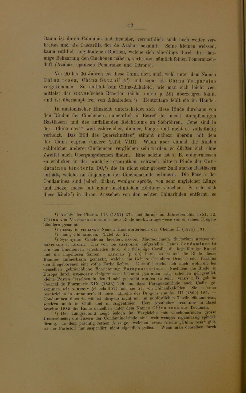 Baum ist durch Columbia und. Ecuador, vermuthlich auch noch weiter ver- breitet und als Cascarilla Hör de Azahar bekannt. Seine kleinen weissen, kaum röthlich angelaufenen Bltithen, welche sich allerdings durch ihre flau- mige Behaarung den Cinchonen nähern, verbreiten nämlich feinen Pomeranzen- duft (Azahar, spanisch Pomeranze und Citrone). Vor 20 bis 30 Jahren ist diese China nova auch wohl unter dem Namen China rosea, China Savanilla1 2) und sogar als China Valparaiso vorgekommen. Sie enthält kein China-Alkaloid, wie man sich leicht ver- mittelst der GRAHE’sehen Reaction (siehe unten p. 58) überzeugen kann, und ist überhaupt frei von Alkaloiden.'-) Heutzutage fehlt sie im Handel. In anatomischer Hinsicht unterscheidet sich diese Rinde durchaus von den Rinden der Cinchonen, namentlich in Betreff der meist stumpfendigen Bastfasern und des auffallenden Reichthums an Siebröhren. Jene sind in der „China nova“ weit zahlreicher, dünner, länger und nicht so vollständig verholzt. Das Bild des Querschnittes3) stimmt nahezu überein mit dem der China cuprea (unsere Tafel VIII). Wenn aber einmal die Rinden zahlreicher anderer Cinchoneen verglichen sein werden, so dürften sich ohne Zweifel auch Übergangsformen finden. Eine solche ist z. B. einigennassen zu erblicken in der prächtig rosenrothen, schwach bittern Rinde der Con- daminea tinctoria DC,4) die in nicht sehr grosser Zahl starke Bastfasern enthält, welche an diejenigen der Cinchonarinde erinnern. Die Fasern der Condaminea sind jedoch dicker, weniger spröde, von sehr ungleicher Länge und Dicke, meist mit einer ansehnlichen Höhlung versehen. So sehr sich diese Rinde5) in ihrem Aussehen von den echten Chinarinden entfernt, so 0 Archiv der Pharm. HG (1851) 374 und daraus im Jahresberichte 1851, 52. China von Valparaiso wurde diese Rinde merkwürdigerweise von einzelnen Drogen- händlern genannt. 2) hesse, in eehling’s Neuem Handwörterbuch der Chemie II (1875) 531. 3) beug, Chinarinden. Tafel X, 27. 4) Synonyme: Cinchona laccifera pavon, Macrocnemum tinctorium Humboldt, bonpland et kunth. Das von de candoli.e aufgestellte Genus Condaminea ist von den Cinchoneen verschieden durch die ileischige Corolle, die kegelförmige Kapsel und die flügellosen Samen. tafalla (p. G9) hatte bereits auf die Rinde dieses Baumes aufmerksam gemacht, welche im Gebiete des obern Orinoco oder Paraguu den Eingeborenen eine rothe Farbe liefert. Darauf bezieht sich auch wohl die bei denselben gebräuchliche Bezeichnung Paraguatanriude. Nachdem die Rinde in Europa durch humboi.dt einigermassen bekannt geworden war, scheinen gelegentlich kleine Posten derselben in den Handel gebracht worden zu sein, vikky z. B. gal) im Journal de Pharmacie XIX (1833) 199 an, dass Paraguatanriude nach Cadix ge- kommen sei; o. hknky (ebenda 201) fand sie frei von Chinaalkaloiden. Sic ist ferner beschrieben in guiboukt’s Histoirc naturelle des Drogues simples III Q8G9) 185. Condaminea tinctoria wächst übrigens nicht nur im nordöstlichen 1 heile Südamericas, sondern auch in Chili und in Argentinien. Herr Apotheker stuckert in Basel brachte 1880 die Rinde derselben unter dem Namen China rosa aus Tucuman. ®) Der Längsschnitt zeigt jedoch im Vergleiche mit Cinclionarinden grosse Unterschiede; die Fasern der Condamineürinde sind weit weniger regelmässig spindel- förmig. In dem prächtig rothen Auszuge, welchen etwas frische „China rosa“ gibt, ist der Farbstoff nur suspendirt, nicht eigentlich gelöst. Wenn man denselben durch