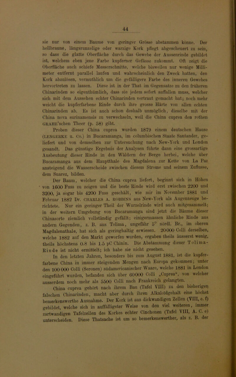 sie nur von einem Baume von geringer Grösse abstammen könne. Der hellbraune, längsrunzelige oder warzige Kork pflegt abgescheuert zu sein, so dass die glatte Oberfläche durch das Gewebe der Aussenrinde gebildet ist, welchem eben jene Farbe kupferner Gefässe zukommt. Oft zeigt die Oberfläche auch schiefe Messerschnitte, welche bisweilen nur wenige Milli- meter entfernt parallel laufen und wahrscheinlich den Zweck hatten, den Kork abzulösen, vermutklick um die gefälligere Farbe des inneren Gewebes hervortreten zu lassen. Diese ist in der That im Gegensätze zu den früheren Chinarinden so eigenthümlich, dass sie jedem sofort auffallen muss, welcher sich mit dem Aussehen echter Chinarinden vertraut gemacht hat; noch mehr weicht die kupferfarbene Rinde durch ihre grosse Härte von allen echten Chinarinden ab. Es ist auch schon deshalb unmöglich, dieselbe mit der China nova surinamensis zu verwechseln, weil die China cuprea den rothen GKAHE’schen Theer (p. 58) gibt. Proben dieser China cuprea wurden 1879 einem deutschen Hause (LENGERKE u. Co.) in Bucaramanga, im columbischen Staate Santander, ge- liefert und von demselben zur Untersuchung nach New-York und London gesandt. Das günstige Ergebnis der Analysen führte dann eine grossartige Ausbeutung dieser Rinde in den Wäldern der Berge herbei, welche über Bucaramanga aus dem Haupttliale des Magdalena zur Kette von La Paz ansteigend die Wasserscheide zwischen diesem Strome und seinem Zuflusse, dem Suarez, bilden. Der Baum, welcher die China cuprea liefert, beginnt sich in Höhen ' von 1600 Fuss zu zeigen und die beste Rinde wird erst zwischen 2200 und 3200, ja sogar bis 4200 Fuss geschält, wie mir im November 1881 und Februar 1882 Dr. CHARLES A. robbins aus New-York als Augenzeuge be- richtete. Nur ein geringer Tlieil der Wurzelrinde wird auch mitgesammelt; in der weitern Umgebung von Bucaramanga sind jetzt die Bäume dieser Chinasorte ziemlich vollständig gefällt; einigermassen ähnliche Rinde aus andern Gegenden, z. B. aus Tolima, ungefähr 5° nördl. Br., im oberen Magdalenathale, hat sich als geringhaltig erwiesen. 20000 Colli derselben, welche 1882 auf den Markt geworfen wurden, ergaben theils äusserst wenig, theils höchstens 0.8 bis 1.5 pC Chinin. Die Abstammung dieser Tolima- Rinde ist nicht ermittelt; ich habe sie nicht gesehen. In den letzten Jahren, besonders bis zum August 1881, ist die kupfer- farbene China in immer steigenden Mengen nach Europa gekommen; unter den 100 000 Colli (Seronen) südarnericaniscker Waare, welche 1881 in London eingeführt wurden, befanden sich über 60000 Colli „Cuprea“, von welcher ausserdem noch mehr als 5500 Colli nach Frankreich gelangten. China cuprea gehört nach ihrem Bau (Tafel YIH) zu den bisherigen falschen Chinarinden, macht aber durch ihren Alkaloidgehalt eine höchst bemerkenswerthe Ausnahme. Der Kork ist aus dickwandigen Zellen (VIII, e. f) gebildet, welche sich in auffälligster Weise von den viel weiteren, immer zartwandigen Tafelzellen des Korkes echter Cinchonen (Tafel VIII, A. C. e) unterscheiden. Diese Thatsache ist um so bemerkenswerther, als z. B. der
