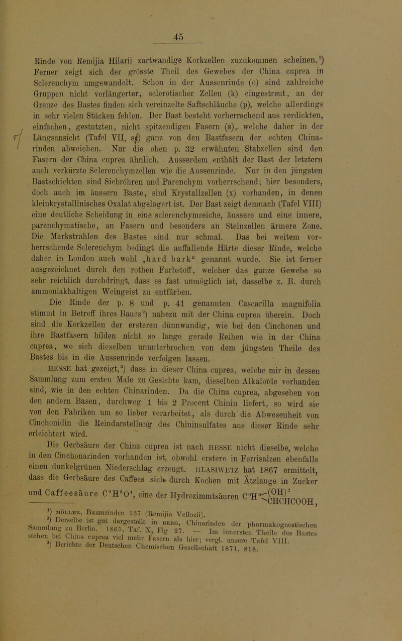 Kinde von Remijia Hilarii zartwandige Korkzellen zuzukommen scheinen.1) Ferner zeigt sich der grösste Th eil des Gewebes der China cuprea in Sclerenchym umgewandelt. Schon in der Aussenrinde (o) sind zahlreiche Gruppen nicht verlängerter, sclerotischer Zellen (k) eingestreut, an der Grenze des Bastes finden sich vereinzelte Saftschläuche (p), welche allerdings in sehr vielen Stücken fehlen. Der Bast besteht vorherrschend aus verdickten, einfachen, gestutzten, nicht spitzendigen Fasern (s), welche daher in der Längsansicht (Tafel VII, sfr) ganz von den Bastfasern der echten China- rinden abweichen. Nur die oben p. 32 erwähnten Stabzellen sind den Fasern der China cuprea ähnlich. Ausserdem enthält der Bast der letztem auch verkürzte Sclerenchymzellen wie die Aussenrinde. Nur in den jüngsten Bastschichten sind Siebröhren und Parenchym vorherrschend; hier besonders, doch auch im äussern Baste, sind Krystallzellen (x) vorhanden, in denen kleinkrystallinisches Oxalat abgelagert ist. Der Bast zeigt demnach (Tafel VIII) eine deutliche Scheidung in eine sclerenchymreiche, äussere und eine innere, parenchymatische, an Fasern und besonders an Steinzellen ärmere Zone. Die Markstrahlen des Bastes sind nur schmal. Das bei weitem vor- herrschende Sclerenchym bedingt die auffallende Härte dieser Kinde, welche daher in London auch wohl „hard bark“ genannt wurde. Sie ist ferner ausgezeichnet durch den rothen Farbstoff, welcher das ganze Gewebe so sehr reichlich durchdringt, dass es fast unmöglich ist, dasselbe z. B. durch ammoniakhaltigen Weingeist zu entfärben. Die Rinde der p. 8 und p. 41 genannten Cascarilla magnifolia stimmt in Betreff ihres Baues2) nahezu mit der China cuprea überein. Doch sind die Korkzellen der ersteren dünnwandig, wie bei den Cinchonen und ihre Bastfasern bilden nicht so lange gerade Reihen wie in der China cuprea, wo sich dieselben ununterbrochen von dem jüngsten Theile des Bastes bis in die Aussenrinde verfolgen lassen. HESSE hat gezeigt,3) dass in dieser China cuprea, welche mir in dessen Sammlung zum ersten Male zu Gesichte kam, dieselben Alkaloide vorhanden sind, wie in den echten Chinarinden. Da die China cuprea, abgesehen von den andern Basen, durchweg 1 bis 2 Procent Chinin liefert, so wird sie von den Fabriken um so lieber verarbeitet, als durch die Abwesenheit von Cinchonidin die Reindarstellung des Chininsulfates aus dieser Rinde sehr erleichtert wird. Die Gerbsäure der China cuprea ist nach HESSE nicht dieselbe, welche in den Cinchonarinden vorhanden ist, obwohl erstere in Ferrisalzen ebenfalls einen dunkelgrünen Niederschlag erzeugt. ULASIWETZ hat 1867 ermittelt, dass die Geibsäure des Caffees sich- durch Kochen mit Ätzlauge in Zucker und Caffeesäure C'JH801, eine der Hydrozimmtsäuren CüH3Cq^[jC00h *) Möller, Baumrinden 137 (Remijia Vcllozii). <miw.-n hoi (Mi., • ~7• — Im innersten Tüeile des Bastes 'VJLST 1 Pna 711? mCilr Fasern als hi«; vergl. unsere Tafel VIII. ) Beuchte der Deutschen Chemischen Gesellschaft 1871, 818.