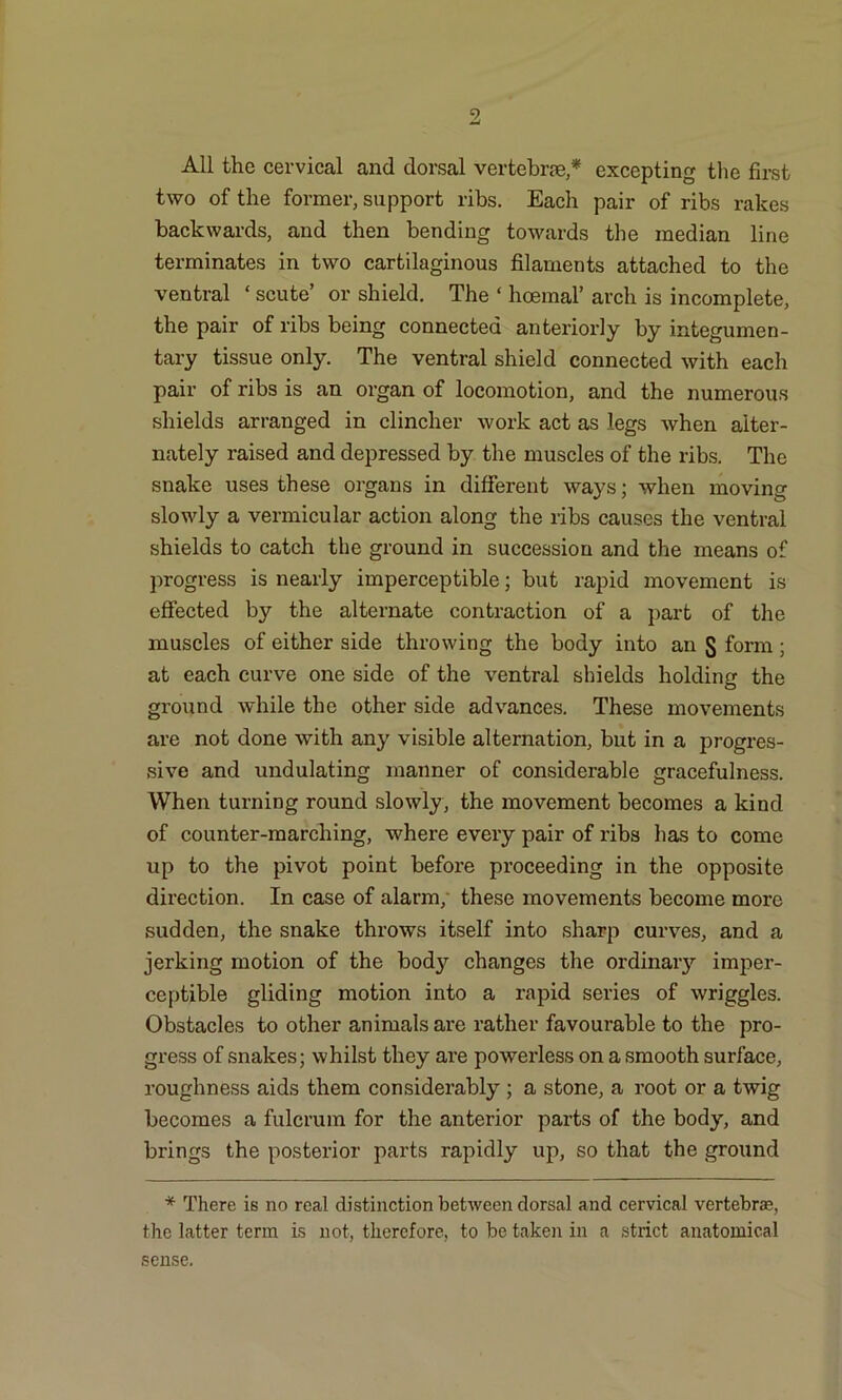 5 All the cervical and dorsal vertebrae,* excepting the first two of the former, support ribs. Each pair of ribs rakes backwards, and then bending towards the median line terminates in two cartilaginous filaments attached to the ventral ‘ scute’ or shield. The ‘ haemal’ arch is incomplete, the pair of ribs being connected anteriorly by integumen- tary tissue only. The ventral shield connected with each pair of ribs is an organ of locomotion, and the numerous shields arranged in clincher work act as legs when alter- nately raised and depressed by the muscles of the ribs. The snake uses these organs in different ways; when moving slowly a vermicular action along the ribs causes the ventral shields to catch the ground in succession and the means of progress is nearly imperceptible; but rapid movement is effected by the alternate contraction of a part of the muscles of either side throwing the body into an S form; at each curve one side of the ventral shields holding the ground while the other side advances. These movements are not done with any visible alternation, but in a progres- sive and undulating manner of considerable gracefulness. When turning round slowly, the movement becomes a kind of counter-marching, where every pair of ribs lias to come up to the pivot point before proceeding in the opposite direction. In case of alarm; these movements become more sudden, the snake throws itself into sharp curves, and a jerking motion of the body changes the ordinary imper- ceptible gliding motion into a rapid series of wriggles. Obstacles to other animals are rather favourable to the pro- gress of snakes; whilst they are powerless on a smooth surface, roughness aids them considerably ; a stone, a root or a twig becomes a fulcrum for the anterior parts of the body, and brings the posterior parts rapidly up, so that the ground * There is no real distinction between dorsal and cervical vertebrae, the latter term is not, therefore, to be taken in a strict anatomical sense.