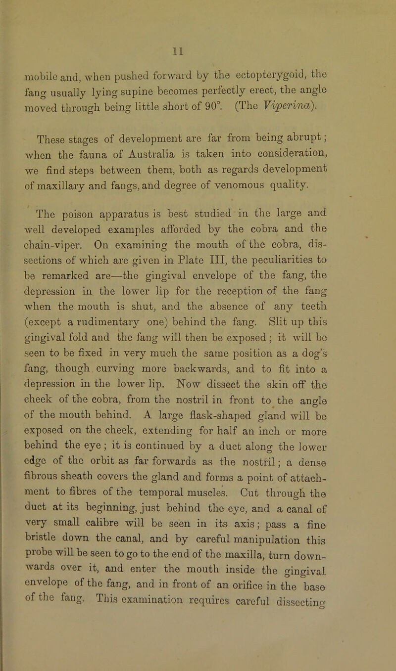 mobile and, when pushed forward by the ectopterygoid, the l’ang usually lying supine becomes perfectly erect, the angle moved through being little short of 90°. (The Vipevinci). These stages of development are far from being abrupt; when the fauna of Australia is taken into consideration, we find steps between them, both as regards development of maxillary and fangs, and degree of venomous quality. The poison apparatus is best studied in the large and well developed examples afforded by the cobra and the chain-viper. On examining the mouth of the cobra, dis- sections of which are given in Plate III, the peculiarities to be remarked are—the gingival envelope of the fang, the depression in the lower lip for the reception of the fang when the mouth is shut, and the absence of any teeth (except a rudimentary one) behind the fang. Slit up this gingival fold and the fang will then be exposed; it will be seen to be fixed in very much the same position as a dog s fang, though curving more backwards, and to fit into a depression in the lower lip. Now dissect the skin off the cheek of the cobra, from the nostril in front to the anode of the mouth behind. A large flask-shaped gland will be exposed on the cheek, extending for half an inch or more behind the eye; it is continued by a duct along the lower edge of the orbit as far forwards as the nostril; a dense fibrous sheath covers the gland and forms a point of attach- ment to fibres of the temporal muscles. Cut through the duct at its beginning, just behind the eye, and a canal of very small calibre will he seen in its axis; pass a fine bristle down the canal, and by careful manipulation this probe will be seen to go to the end of the maxilla, turn down- wards over it, and enter the mouth inside the gingival envelope of the fang, and in front of an orifice in the base of the fang. This examination requires careful dissecting