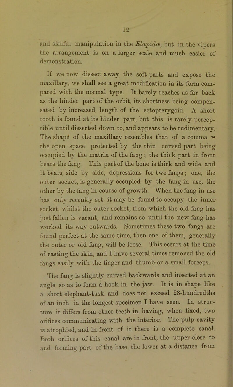 the arrangement is on a larger scale and much easier of demonstration. If we now dissect away the soft parts and expose the maxillary, we shall see a great modification in its form com- pared with the normal type. It barely reaches as far back as the hinder part of the orbit, its shortness being compen- sated by increased length of the ectopterygoid. A short tooth is found at its hinder part, but this is rarely percep- tible until dissected down to, and appears to be rudimentary. The shapd of the maxillary resembles that of a comma the open space protected by the thin curved part being occupied by the matrix of the fang ; the thick part in front bears the fang. This part of the bone is thick and wide, and it bears, side by side, depressions for two fangs ; one, the outer socket, is generally occupied by the fang in use, the other by the fang in course of growth. When the fang in use has only recently set it may be found to occupy the inner socket, whilst the outer socket, from which the old fang has just fallen is vacant, and remains so until the new fang has worked its way outwards. Sometimes these two fangs are found perfect at the same time, then one of them, generally the outer or old fang, will be loose. This occurs at the time of casting the skin, and I have several times removed the old fangs easily with the finger and thumb or a small forceps. The fang is slightly curved backwards and inserted at an angle so as to form a hook in the jaw. It is in shape like a short elephant-tusk and does not exceed 28-hundredths of an inch in the longest specimen I have seen. In struc- ture it differs from other teeth in having, when fixed, two orifices communicating with the interior. The pulp cavity is atrophied, and in front of it there is a complete canal. Both orifices of this canal are in front, the upper close to and forming part of the base, the lower at a distance from
