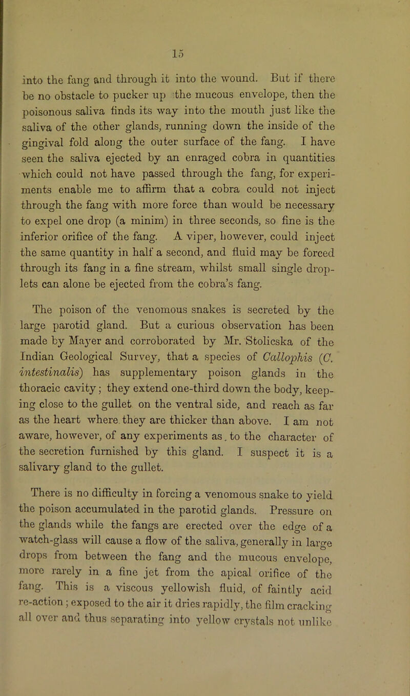 into the fling and through it into the wound. But if there be no obstacle to pucker up the mucous envelope, then the poisonous saliva finds its way into the mouth just like the saliva of the other glands, running down the inside of the gingival fold along the outer surface of the fang. I have seen the saliva ejected by an enraged cobra in quantities which could not have passed through the fang, for experi- ments enable me to affirm that a cobra could not inject through the fang with more force than would be necessary to expel one drop (a minim) in three seconds, so fine is the inferior orifice of the fang. A viper, however, could inject the same quantity in half a second, and fluid may be forced through its fang in a fine stream, whilst small single drop- lets can alone be ejected from the cobra’s fang. The poison of the venomous snakes is secreted by the large parotid gland. But a curious observation has been made by Mayer and corroborated by Mr. Stolicska of the Indian Geological Survey, that a species of Callopkis (C. intestinalis) has supplementary poison glands in the thoracic cavity; they extend one-third down the body, keep- ing close to the gullet on the ventral side, and reach as far as the heart where they are thicker than above. I am not aware, however, of any experiments as. to the character of the secretion furnished by this gland. I suspect it is a salivary gland to the gullet. There is no difficulty in forcing a venomous snake to yield the poison accumulated in the parotid glands. Pressure on the glands while the fangs are erected over the edge of a watch-glass will cause a flow of the saliva, generally in large drops from between the fang and the mucous envelope, more rarely in a fine jet from the apical orifice of the fang. This is a viscous yellowish fluid, of faintly acid re-action; exposed to the air it dries rapidly, the film cracking all over and thus separating into yellow crystals not unlike