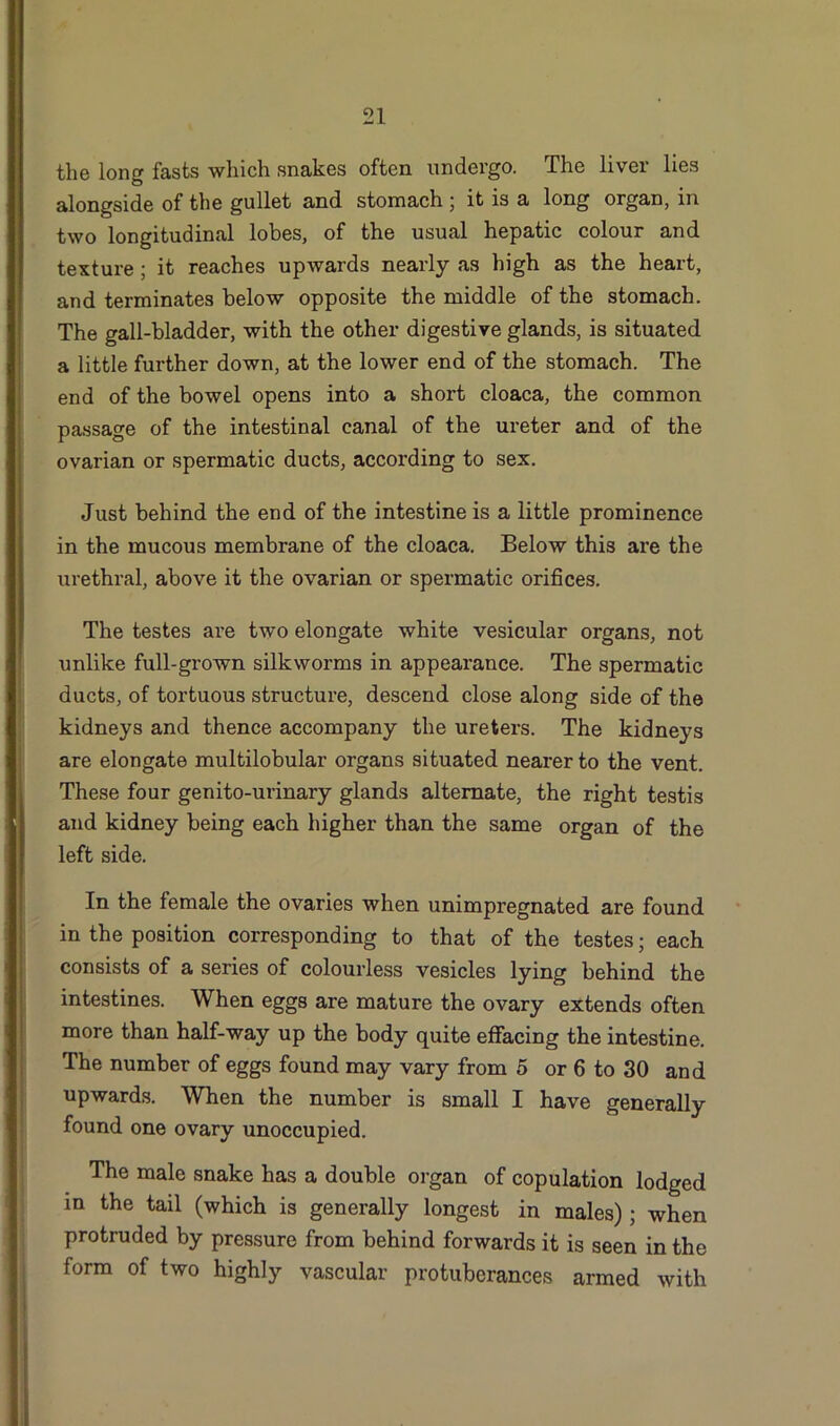 the long fasts which snakes often undergo. The liver lies alongside of the gullet and stomach ; it is a long organ, in two longitudinal lobes, of the usual hepatic colour and texture ; it reaches upwards nearly as high as the heart, and terminates below opposite the middle of the stomach. The gall-bladder, with the other digestive glands, is situated a little further down, at the lower end of the stomach. The end of the bowel opens into a short cloaca, the common passage of the intestinal canal of the ureter and of the ovarian or spermatic ducts, according to sex. Just behind the end of the intestine is a little prominence in the mucous membrane of the cloaca. Below this are the urethral, above it the ovarian or spermatic orifices. The testes are two elongate white vesicular organs, not unlike full-grown silkworms in appearance. The spermatic ducts, of tortuous structure, descend close along side of the kidneys and thence accompany the ureters. The kidneys are elongate multilobular organs situated nearer to the vent. These four genito-urinary glands alternate, the right testis and kidney being each higher than the same organ of the left side. In the female the ovaries when unimpregnated are found in the position corresponding to that of the testes; each consists of a series of colourless vesicles lying behind the intestines. When eggs are mature the ovary extends often more than half-way up the body quite effacing the intestine. The number of eggs found may vary from 5 or 6 to 30 and upwards. When the number is small I have generally found one ovary unoccupied. The male snake has a double organ of copulation lodged in the tail (which is generally longest in males); when protruded by pressure from behind forwards it is seen in the form of two highly vascular protuberances armed with
