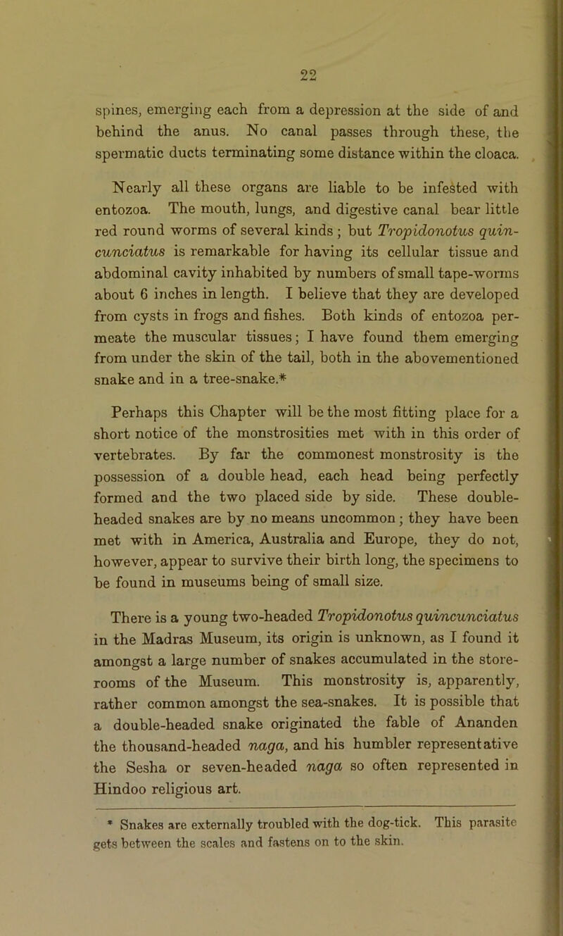 spines, emerging each from a depression at the side of and behind the anus. No canal passes through these, the spermatic ducts terminating some distance within the cloaca. Nearly all these organs are liable to be infested with entozoa. The mouth, lungs, and digestive canal bear little red round worms of several kinds; but Tropidonotus quin- cunciatus is remarkable for having its cellular tissue and abdominal cavity inhabited by numbers of small tape-worms about 6 inches in length. I believe that they are developed from cysts in frogs and fishes. Both kinds of entozoa per- meate the muscular tissues; I have found them emerging from under the skin of the tail, both in the abovementioned snake and in a tree-snake* Perhaps this Chapter will be the most fitting place for a short notice of the monstrosities met with in this order of vertebrates. By far the commonest monstrosity is the possession of a double head, each head being perfectly formed and the two placed side by side. These double- headed snakes are by no means uncommon; they have been met with in America, Australia and Europe, they do not, however, appear to survive their birth long, the specimens to be found in museums being of small size. There is a young two-headed Tropidonotus quincunciatus in the Madras Museum, its origin is unknown, as I found it amongst a large number of snakes accumulated in the store- rooms of the Museum. This monstrosity is, apparently, rather common amongst the sea-snakes. It is possible that a double-headed snake originated the fable of Ananden the thousand-headed naga, and his humbler representative the Sesha or seven-headed naga so often represented in Hindoo religious art. * Snakes are externally troubled with the dog-tick. This parasite gets between the scales and fastens on to the skin.