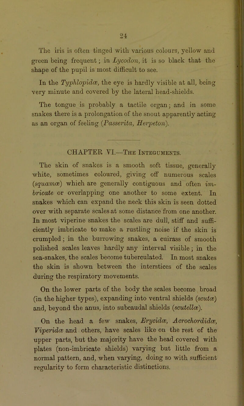 The iris is often tinged with various colours, yellow and green being frequent; in Lycodon, it is so black that the shape of the pupil is most difficult to see. In the Typhlopidce, the eye is hardly visible at all, being very minute and covered by the lateral head-shields. The tongue is probably a tactile organ; and in some snakes there is a prolongation of the snout apparently acting as an organ of feeling (Passerita, Herpeton). CHAPTER YI.—The Integuments. The skin of snakes is a smooth soft tissue, generally white, sometimes coloured, giving off numerous scales (squamce) which are generally contiguous and often im- bricate or overlapping one another to some extent. In snakes which can expand the neck this skin is seen dotted over with separate scales at some distance from one another. In most viperine snakes the scales are dull, stiff and suffi- ciently imbricate to make a rustling noise if the skin is crumpled; in the burrowing snakes, a cuirass of smooth polished scales leaves hardly any interval visible; in the sea-snakes, the scales become tuberculated. In most snakes the skin is shown between the interstices of the scales during the respiratory movements. On the lower parts of the body the scales become broad (in the higher types), expanding into ventral shields (scutce) and, beyond the anus, into subcaudal shields (scutellce). On the head a few snakes, Erycidce, Acrochordidce, Viperidce and others, have scales like on the rest of the upper parts, but the majority have the head covered with plates (non-imbricate shields) varying but little from a normal pattern, and, when varying, doing so with sufficient regularity to form characteristic distinctions.
