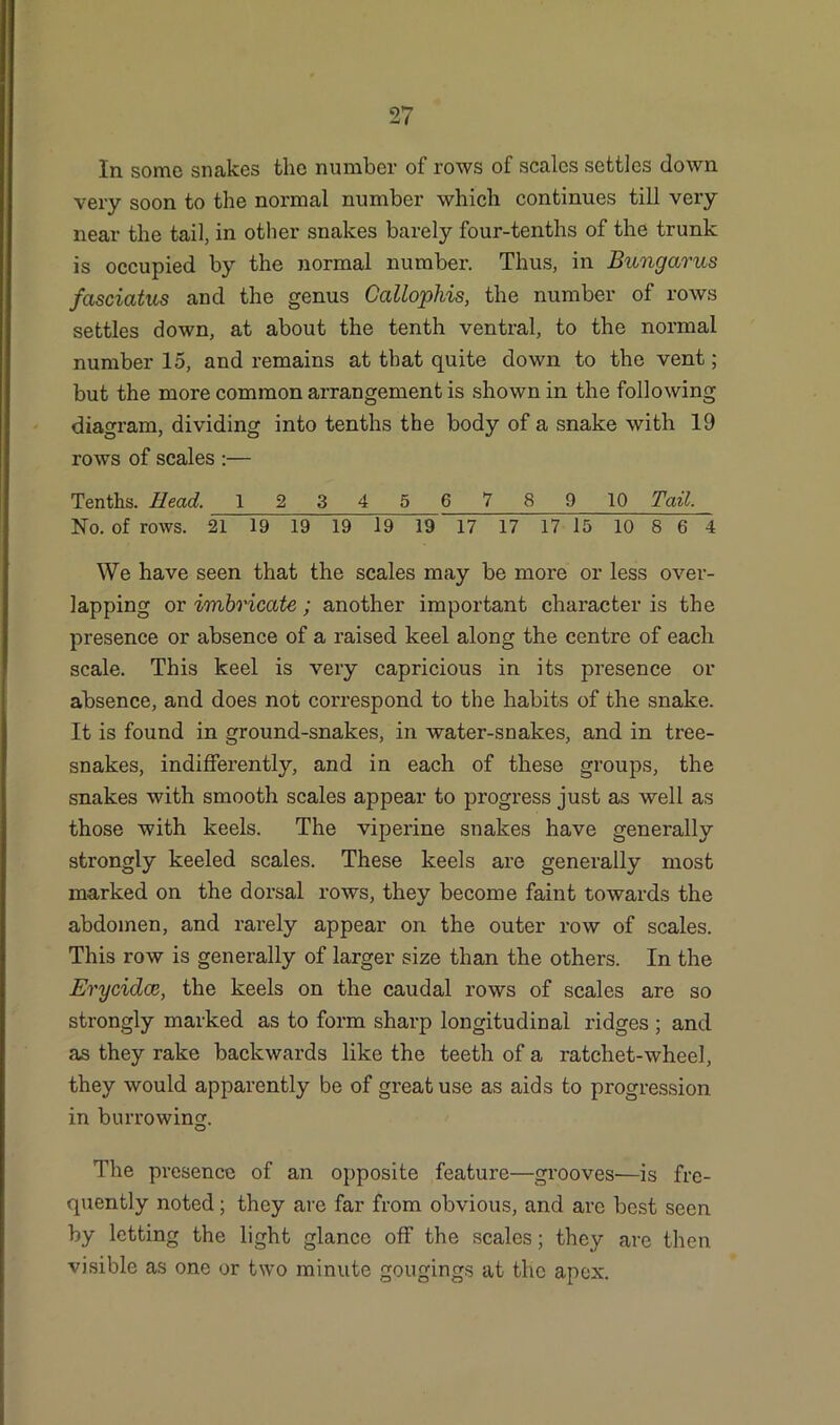 In some snakes the number of rows of scales settles down very soon to the normal number which continues till very near the tail, in other snakes barely four-tenths of the trunk is occupied by the normal number. Thus, in Bungarus fasciatus and the genus Gallophis, the number of rows settles down, at about the tenth ventral, to the normal number 15, and remains at that quite down to the vent; but the more common arrangement is shown in the following diagram, dividing into tenths the body of a snake with 19 rows of scales :— Tenths. Head. 1 2 3 4 5 6 7 8 9 10 Tail. No. of rows. 21 19 19 19 19 19 17 17 17 15 10 8 6 4 We have seen that the scales may be more or less over- lapping or imbricate; another important character is the presence or absence of a raised keel along the centre of each scale. This keel is very capricious in its presence or absence, and does not correspond to the habits of the snake. It is found in ground-snakes, in water-snakes, and in tree- snakes, indifferently, and in each of these groups, the snakes with smooth scales appear to progress just as well as those with keels. The viperine snakes have generally strongly keeled scales. These keels are generally most marked on the dorsal rows, they become faint towards the abdomen, and rarely appear on the outer row of scales. This row is generally of larger size than the others. In the Erycidce, the keels on the caudal rows of scales are so strongly marked as to form sharp longitudinal ridges ; and as they rake backwards like the teeth of a ratchet-wheel, they would apparently be of great use as aids to progression in burrowing. The presence of an opposite feature—grooves—is fre- quently noted; they are far from obvious, and are best seen by letting the light glance off the scales; they are then visible as one or two minute gougings at the apex.