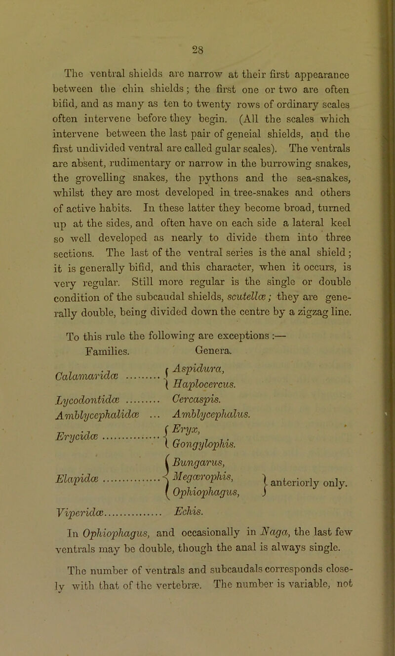 The ventral shields are narrow at their first appearance between the chin shields; the first one or two are often bifid, and as many as ten to twenty rows of ordinary scales often intervene before they begin. (All the scales which intervene between the last pair of geneial shields, and the first undivided ventral are called gular scales). The ventrals are absent, rudimentary or narrow in the burrowing snakes, the grovelling snakes, the pythons and the sea-snakes, whilst they are most developed in tree-snakes and others of active habits. In these latter they become broad, turned up at the sides, and often have on each side a lateral keel so well developed as nearly to divide them into three sections. The last of the ventral series is the anal shield ; it is generally bifid, and this character, when it occurs, is very regular. Still more regular is the single or double condition of the subcaudal shields, scutellce; they are gene- rally double, being divided down the centre by a zigzag line. To this rule the following are exceptions :— Families. Genera. ^ 7 ., r Aspidurci, Galamandce T7 7 ( Haplocercus. Lycodjontidcc Cercaspis. Amblyccphalidce ... Amblyccphcdus. f Eryx, ( GongylophAa. Erycidai j. anteriorly only. i Bungarus, Elcipidce -< Megccrophis, f Ophiophagws, Viperidce Echis. In Ophiophagus, and occasionally in Naga, the last few ventrals may be double, though the anal is always single. The number of ventrals and subcaudals corresponds close- ly with that of the vertebrae. The number is variable, not