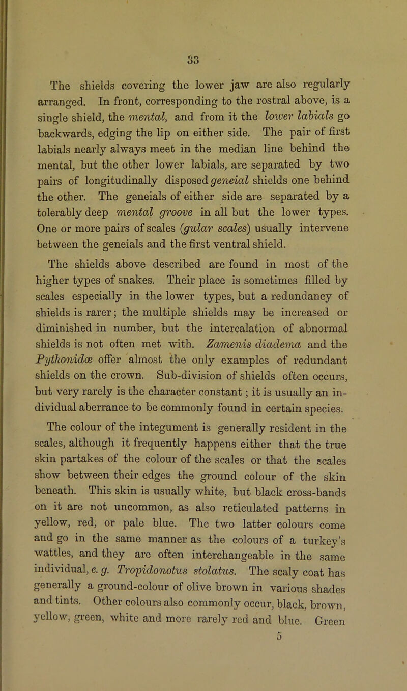 The shields covering the lower jaw are also regularly- arranged. In front, corresponding to the rostral above, is a single shield, the mental, and from it the lower labials go backwards, edging the lip on either side. The pair of first labials nearly always meet in the median line behind the mental, but the other lower labials, are separated by two pairs of longitudinally disposed geneial shields one behind the other. The geneials of either side are separated by a tolerably deep mental groove in all but the lower types. One or more pairs of scales {gular scales) usually intervene between the geneials and the first ventral shield. The shields above described are found in most of the higher types of snakes. Their place is sometimes filled by scales especially in the lower types, but a redundancy of shields is rarer; the multiple shields may be increased or diminished in number, but the intercalation of abnormal shields is not often met with. Zamenis diaclema and the Pythonidce offer almost the only examples of redundant shields on the crown. Sub-division of shields often occurs, but very rarely is the character constant; it is usually an in- dividual aberrance to be commonly found in certain species. The colour of the integument is generally resident in the scales, although it frequently happens either that the true skin partakes of the colour of the scales or that the scales show between their edges the ground colour of the skin beneath. This skin is usually white, but black cross-bands on it are not uncommon, as also reticulated patterns in yellow, red, or pale blue. The two latter colours come and go in the same manner as the colours of a turkey’s wattles, and they are often interchangeable in the same individual, c. g. Tropidonotus stolatus. The scaly coat has generally a ground-colour of olive brown in various shades and tints. Other colours also commonly occur, black, brown, yellow, green, white and more rarely red and blue. Green 5