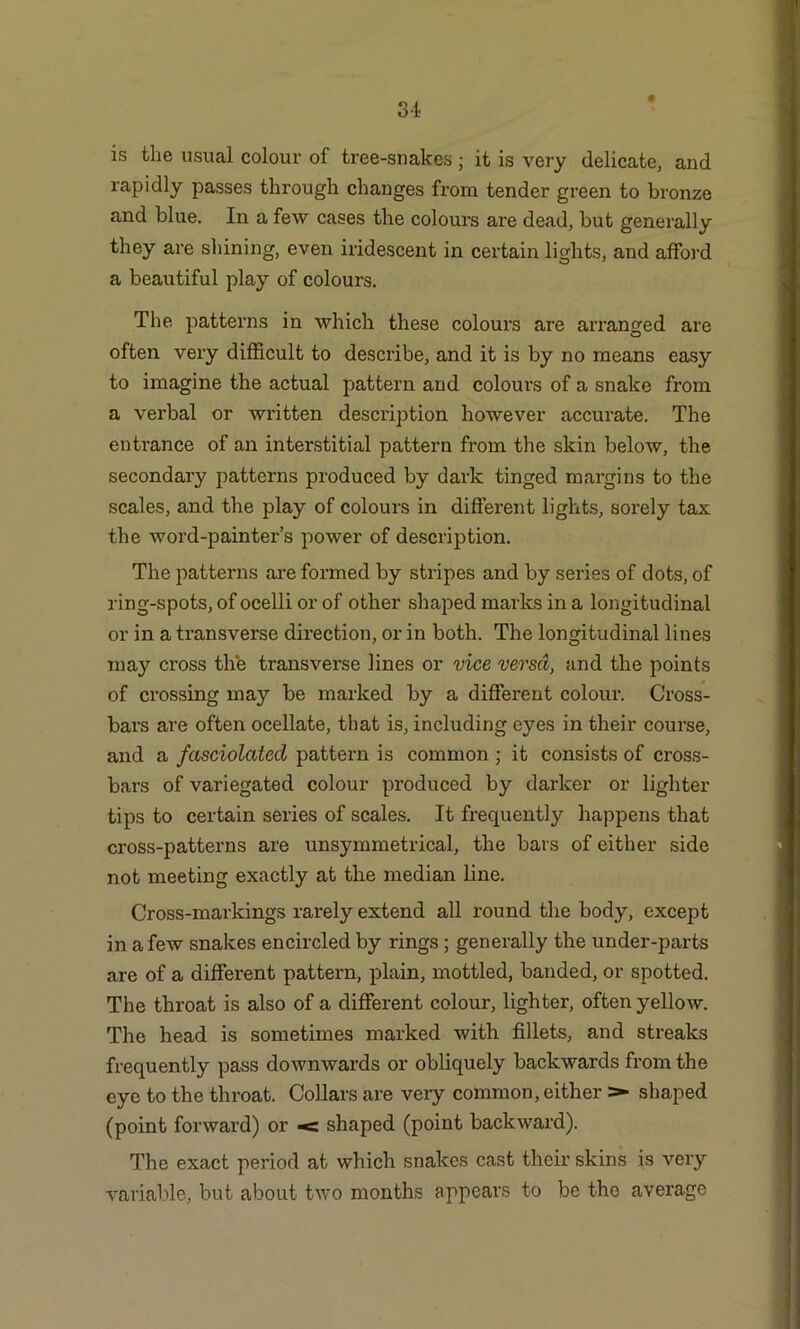 is the usual colour of tree-snakes ; it is very delicate, and rapidly passes through changes from tender green to bronze and blue. In a few cases the colours are dead, but generally they are shining, even iridescent in certain lights, and afford a beautiful play of colours. The patterns in which these colours are arranged are often very difficult to describe, and it is by no means easy to imagine the actual pattern and colours of a snake from a verbal or written description however accurate. The entrance of an interstitial pattern from the skin below, the secondary patterns produced by dark tinged margins to the scales, and the play of colours in different lights, sorely tax the word-painter’s power of description. The patterns are formed by stripes and by series of dots, of ring-spots, of ocelli or of other shaped marks in a longitudinal or in a transverse direction, or in both. The longitudinal lines may cross the transverse lines or vice versa, and the points of crossing may be marked by a different colour. Cross- bars are often ocellate, that is, including eyes in their course, and a fasciolatecl pattern is common ; it consists of cross- bars of variegated colour produced by darker or lighter tips to certain series of scales. It frequently happens that cross-patterns are unsymmetrical, the bars of either side not meeting exactly at the median line. Cross-markings rarely extend all round the body, except in a few snakes encircled by rings; generally the under-parts are of a different pattern, plain, mottled, banded, or spotted. The throat is also of a different colour, lighter, often yellow. The head is sometimes marked with fillets, and streaks frequently pass downwards or obliquely backwards from the eye to the throat. Collars are very common, either >• shaped (point forward) or -e: shaped (point backward). The exact period at which snakes cast their skins is very variable, but about two months appears to be the average
