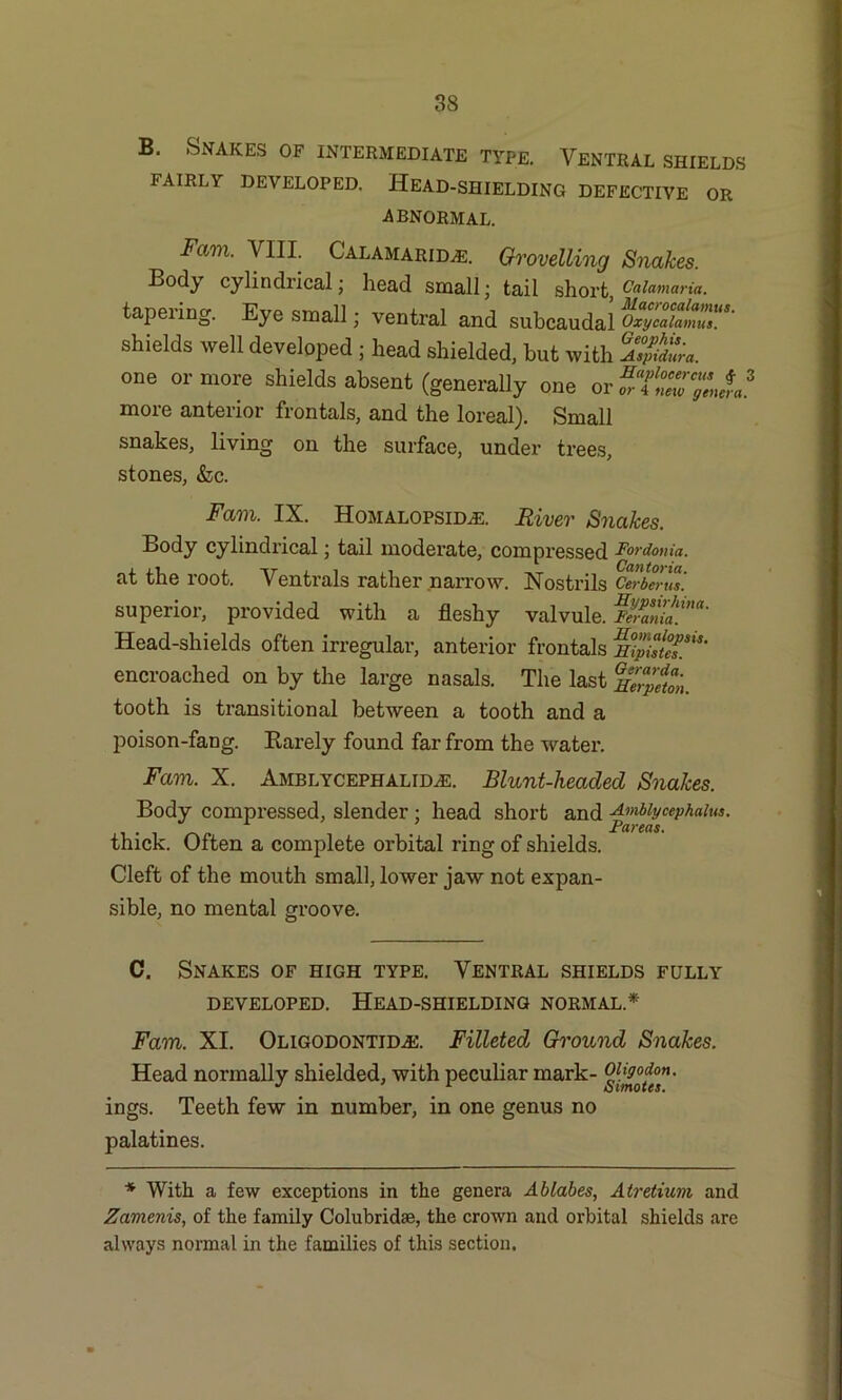 B. Snakes of intermediate type. Ventral shields FAIRLY DEVELOPED. HEAD-SHIELDING DEFECTIVE OR ABNORMAL. Fam. VIII. Galamaridve. Grovelling Snakes. Body cylindrical; head small; tail short, Calamaria. tapering. Eye small; ventral and subcaudal OxyZ^Z^ shields well developed ; head shielded, hut with AspSura. one or more shields absent (generally one or more anterior frontals, and the loreal). Small snakes, living on the surface, under trees, stones, &c. Fam. IX. Homalopsid^e. River Snakes. Body cylindrical; tail moderate, compressed Fordouia. at the root. Ventrals rather narrow. Nostrils Cerberus'. superior, provided with a fleshy valvule. S?,w' Head-shields often irregular, anterior frontals m&tT*' encroached on by the large nasals. The last mfptton. tooth is transitional between a tooth and a poison-fang. Rarely found far from the water. Fam. X. Amblycephalidje. Blunt-headed Snakes. Body compressed, slender ; head short and Amblycephalus. Fareas. thick. Often a complete orbital ring of shields. Cleft of the mouth small, lower jaw not expan- sible, no mental groove. C. Snakes of high type. Ventral shields fully developed. Head-shielding normal.* Fam. XI. OligodontiDjE. Filleted Ground Snakes. Head normally shielded, with peculiar mark- ings. Teeth few in number, in one genus no palatines. * With a few exceptions in the genera Abtabes, Atretium and Zamenis, of the family Colubridse, the crown and orbital shields are always normal in the families of this section.
