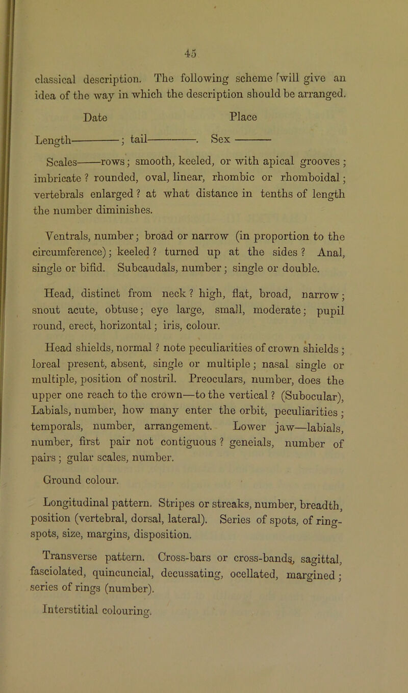 classical description. The following scheme Twill give an idea of the way in which the description should be arranged. Date Place Length— ; tail . Sex Scales rows; smooth, keeled, or with apical grooves ; imbricate ? rounded, oval, linear, rhombic or rhomboidal; vertebrals enlarged ? at what distance in tenths of length the number diminishes. Yentrals, number; broad or narrow (in proportion to the circumference); keeled ? turned up at the sides ? Anal, single or bifid. Subcaudals, number; single or double. Head, distinct from neck ? high, flat, broad, narrow; snout acute, obtuse; eye large, small, moderate; pupil round, erect, horizontal; iris, colour. Head shields, normal ? note peculiarities of crown shields ; loreal present, absent, single or multiple; nasal single or multiple, position of nostril. Preoculars, number, does the upper one reach to the crown—to the vertical ? (Subocular), Labials, number, how many enter the orbit, peculiarities ; temporals, number, arrangement. Lower jaw—labials, number, first pair not contiguous ? geneials, number of pairs ; gular scales, number. Ground colour. Longitudinal pattern. Stripes or streaks, number, breadth, position (vertebral, dorsal, lateral). Series of spots, of ring- spots, size, margins, disposition. Transverse pattern. Cross-bars or cross-bands,, sagittal, fasciolated, quincuncial, decussating, ocellated, margined ; series of rings (number). Interstitial colourinsf. O