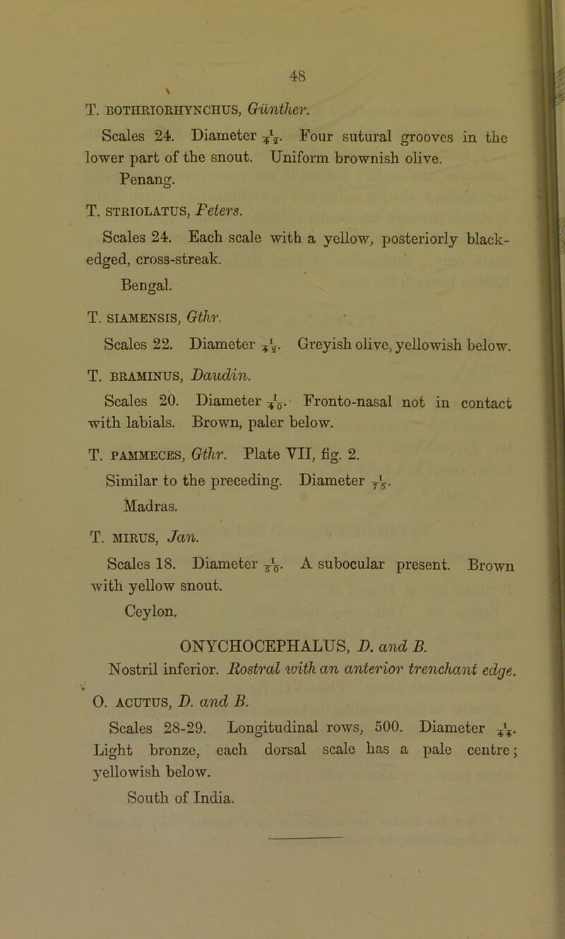 T. bothriorhynchus, Gunther. Scales 24. Diameter Four sutural grooves in the lower part of the snout. Uniform brownish olive. Penang. T. striolatus, Peters. Scales 24. Each scale with a yellow, posteriorly black- edged, cross-streak. Bengal. T. siamensis, Gthr. Scales 22. Diameter Greyish olive, yellowish below. T. braminus, Pandin. Scales 20. Diameter Fronto-nasal not in contact with labials. Brown, paler below. T. pammeces, Gthr. Plate VII, fig. 2. Similar to the preceding. Diameter Y\. Madras. T. mirus, Jan. Scales 18. Diameter Tl5. A subocular present. Brown with yellow snout. Ceylon. ONYCHOCEPHALUS, D. and B. Nostril inferior. Rostral ivithan anterior trenchant edge. $ i O. acutus, D. and B. Scales 28-29. Longitudinal rows, 500. Diameter Light bronze, each dorsal scale has a pale centre; yellowish below. South of India.