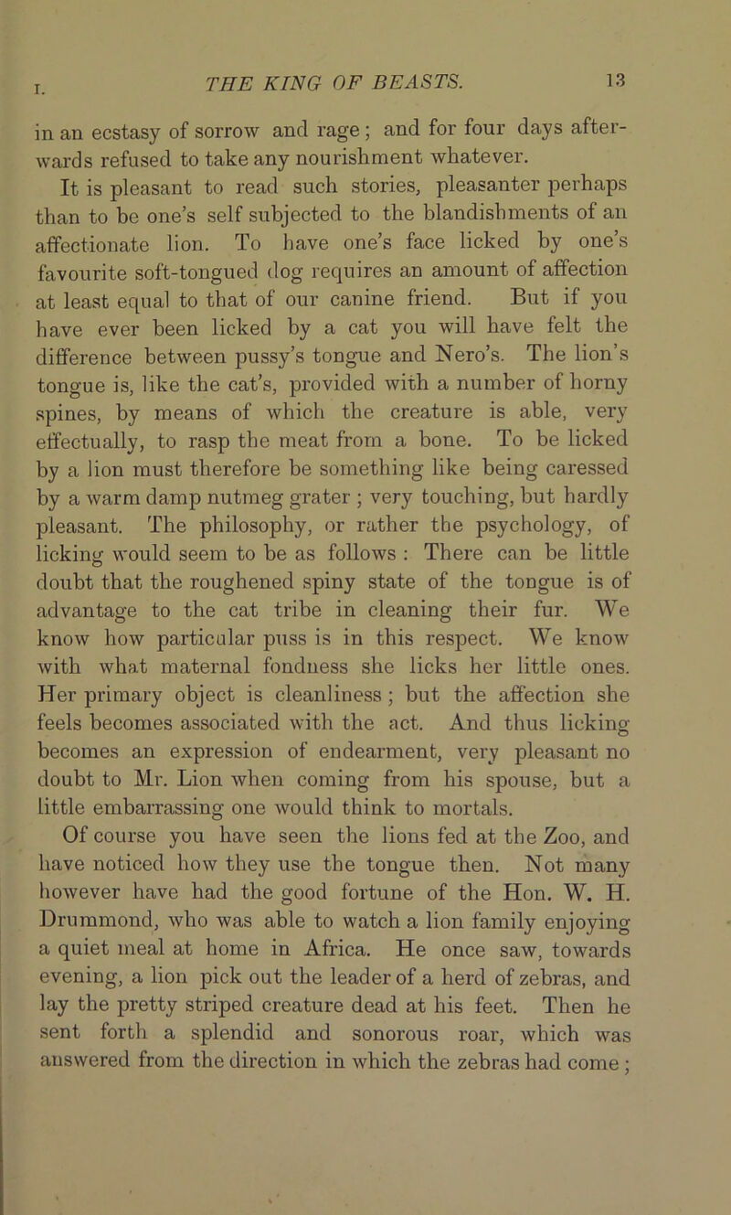 in an ecstasy of sorrow and rage ; and for four days after- wards refused to take any nourishment whatever. It is pleasant to read such stories, pleasanter perhaps than to be one’s self subjected to the blandishments of an affectionate lion. To have one’s face licked by one s favourite soft-tongued dog requires an amount of affection at least equal to that of our canine friend. But if you have ever been licked by a cat you will have felt the difference between pussy’s tongue and Nero’s. The lion’s tongue is, like the cat’s, provided with a number of horny spines, by means of which the creature is able, very effectually, to rasp the meat from a bone. To be licked by a lion must therefore be something like being caressed by a warm damp nutmeg grater ; very touching, but hardly pleasant. The philosophy, or rather the psychology, of licking would seem to be as follows : There can be little doubt that the roughened spiny state of the tongue is of advantage to the cat tribe in cleaning their fur. We know how particular puss is in this respect. We know with what maternal fondness she licks her little ones. Her primary object is cleanliness ; but the affection she feels becomes associated with the act. And thus licking- becomes an expression of endearment, very pleasant no doubt to Mr. Lion when coming from his spouse, but a little embarrassing one would think to mortals. Of course you have seen the lions fed at the Zoo, and have noticed how they use the tongue then. Not many however have had the good fortune of the Hon. W. H. Drummond, who was able to watch a lion family enjoying a quiet meal at home in Africa. He once saw, towards evening, a lion pick out the leader of a herd of zebras, and lay the pretty striped creature dead at his feet. Then he sent forth a splendid and sonorous roar, which was answered from the direction in which the zebras had come ;