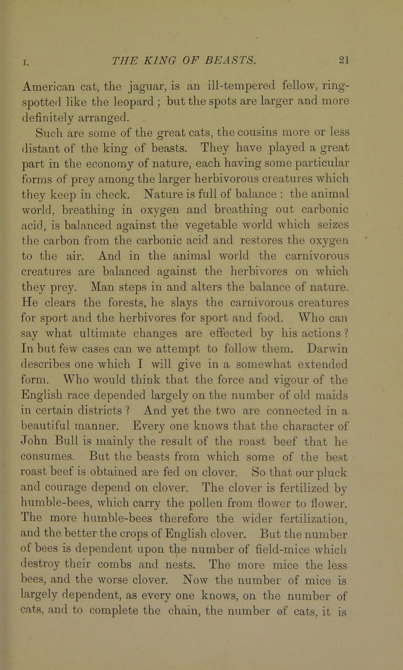 American cat, the jaguar, is an ill-tempered fellow, ring- spotted like the leopard ; but the spots are larger and more definitely arranged. Such are some of the great cats, the cousins more or less distant of the king of beasts. They have played a great part in the economy of nature, each having some particular forms of prey among the larger herbivorous creatures which they keep in check. Nature is full of balance : the animal world, breathing in oxygen and breathing out carbonic acid, is balanced against the vegetable Avorld which seizes the carbon from the carbonic acid and restores the oxygen to the air. And in the animal world the carnivorous creatures are balanced against the herbivores on which they prey. Man steps in and alters the balance of nature. He clears the forests, he slays the carnivorous creatures for sport and the herbivores for sport and food. Who can say what ultimate changes are effected by his actions ? In but few cases can we attempt to follow them. Darwin describes one which I will give in a somewhat extended form. Who would think that the force and vigour of the English race depended lai’gely on the number of old maids in certain districts ? And yet the two are connected in a beautiful manner. Every one knows that the character of John Bull is mainly the result of the roast beef that he consumes. But the beasts from which some of the best roast beef is obtained are fed on clover. So that our pluck and courage depend on clover. The clover is fertilized by humble-bees, which carry the pollen from fiower to flower. The more humble-bees therefore the wider fertilization, and the better the crops of English clover. But the number of bees is dependent upon the number of field-mice which destroy their combs and nests. The more mice the less bees, and the worse clover. Now the number' of mice is largely dependent, as every one knows, on the number of cats, and to complete the chain, the number of cats, it is