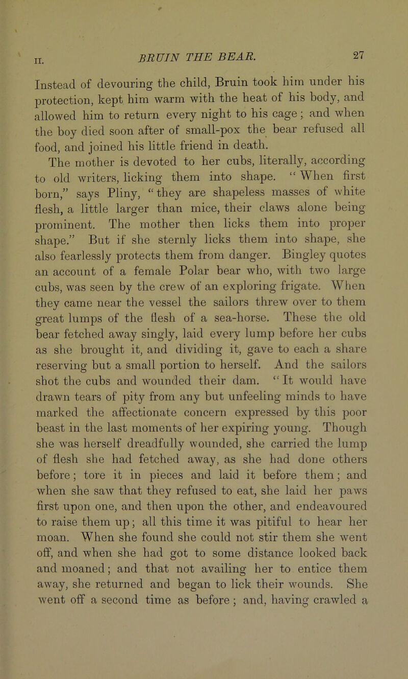 Instead of devouring the child, Bruin took him under his protection, kept him warm with the heat of his body, and allowed him to return every night to his cage; and when the boy died soon after of small-pox the bear refused all food, and joined his little friend in death. The mother is devoted to her cubs, literally, according to old writers, licking them into shape. “ When first born,” says Pliny, “they are shapeless masses of white flesh, a little larger than mice, their claws alone being- prominent. The mother then licks them into proper shape.” But if she sternly licks them into shape, she also fearlessly protects them from danger. Bingley quotes an account of a female Polar bear who, with two large cubs, was seen by the crew of an exploring frigate. When they came near the vessel the sailors threw over to them great lumps of the tlesh of a sea-horse. These the old bear fetched away singly, laid every lump before her cubs as she brought it, and dividing it, gave to each a share reserving but a small portion to herself. And the sailors shot the cubs and wounded their dam. “ It would have drawn tears of pity from any but unfeeling minds to have marked the affectionate concern expressed by this poor beast in the last moments of her expiring young. Though she was herself dreadfully wounded, she carried the lump of flesh she had fetched away, as she had done others before; tore it in pieces and laid it before them; and when she saw that they refused to eat, she laid her paws first upon one, and then upon the other, and endeavoured to raise them up; all this time it was pitiful to hear her moan. When she found she could not stir them she went off, and when she had got to some distance looked back and moaned; and that not availing her to entice them away, she returned and began to lick their wounds. She went off a second time as before; and, having crawled a