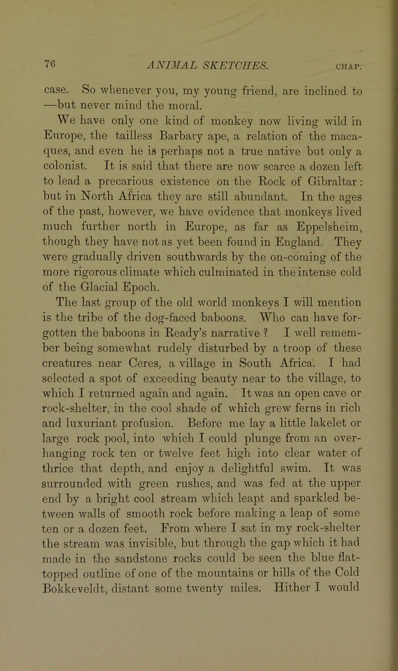 case. So whenever you, my young friend, are inclined to —but never mind the moral. We have only one kind of monkey now living wild in Europe, the tailless Barbary ape, a relation of the maca- ques, and even he is perhaps not a true native but only a colonist. It is said that there are now scarce a dozen left to lead a precarious existence on the Rock of Gibraltar: but in North Africa they are still abundant. In the ages of the past, however, we have evidence that monkeys lived much further north in Europe, as far as Eppelsheim, though they have not as yet been found in England. They were gradually driven southwards by the on-coming of the more rigorous climate which culminated in the intense cold of the Glacial Epoch. The last group of the old world monkeys I will mention is the tribe of the dog-faced baboons. Who can have for- gotten the baboons in Ready’s narrative ? I well remem- ber being somewhat rudely disturbed by a troop of these creatures near Ceres, a village in South Africa. I had selected a spot of exceeding beauty near to the village, to which I returned again and again. It was an open cave or rock-shelter, in the cool shade of which grew ferns in rich and luxuriant profusion. Before me lay a little lakelet or large rock pool, into which I could plunge from an over- hanging rock ten or twelve feet high into clear water of thrice that depth, and enjoy a delightful swim. It was surrounded with green rushes, and was fed at the upper end by a bright cool stream which leapt and sparkled be- tween walls of smooth rock before making a leap of some ten or a dozen feet. From where I sat in my rock-shelter the stream was invisible, but through the gap which it had made in the sandstone rocks could be seen the blue flat- topped outline of one of the mountains or hills of the Cold Bokkeveldt, distant some twenty miles. Hither I would